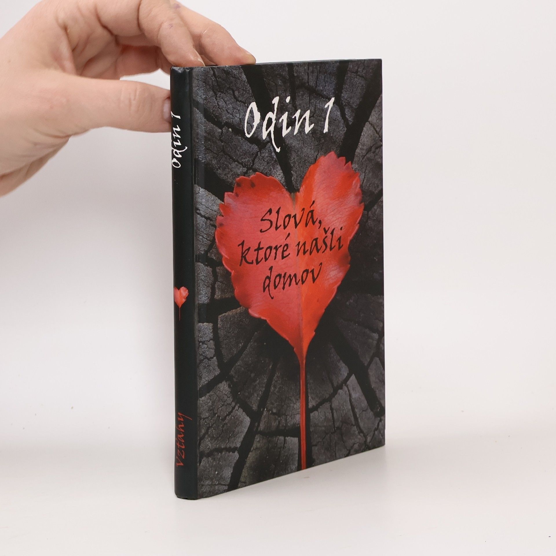 Autores varios Slová, ktoré našli domov