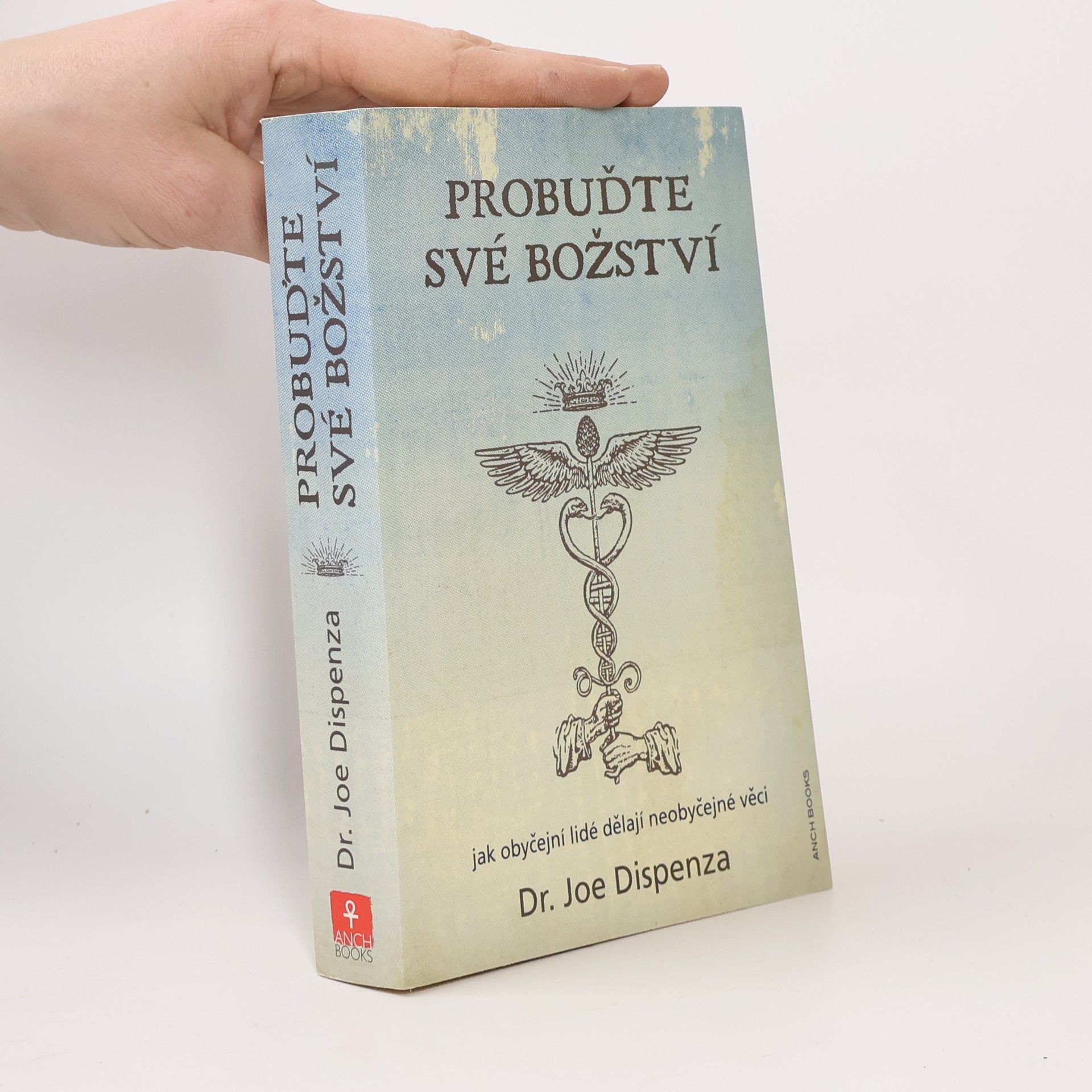Joe Dispenza Probuďte své božství : jak obyčejní lidé dělají neobyčejné věci