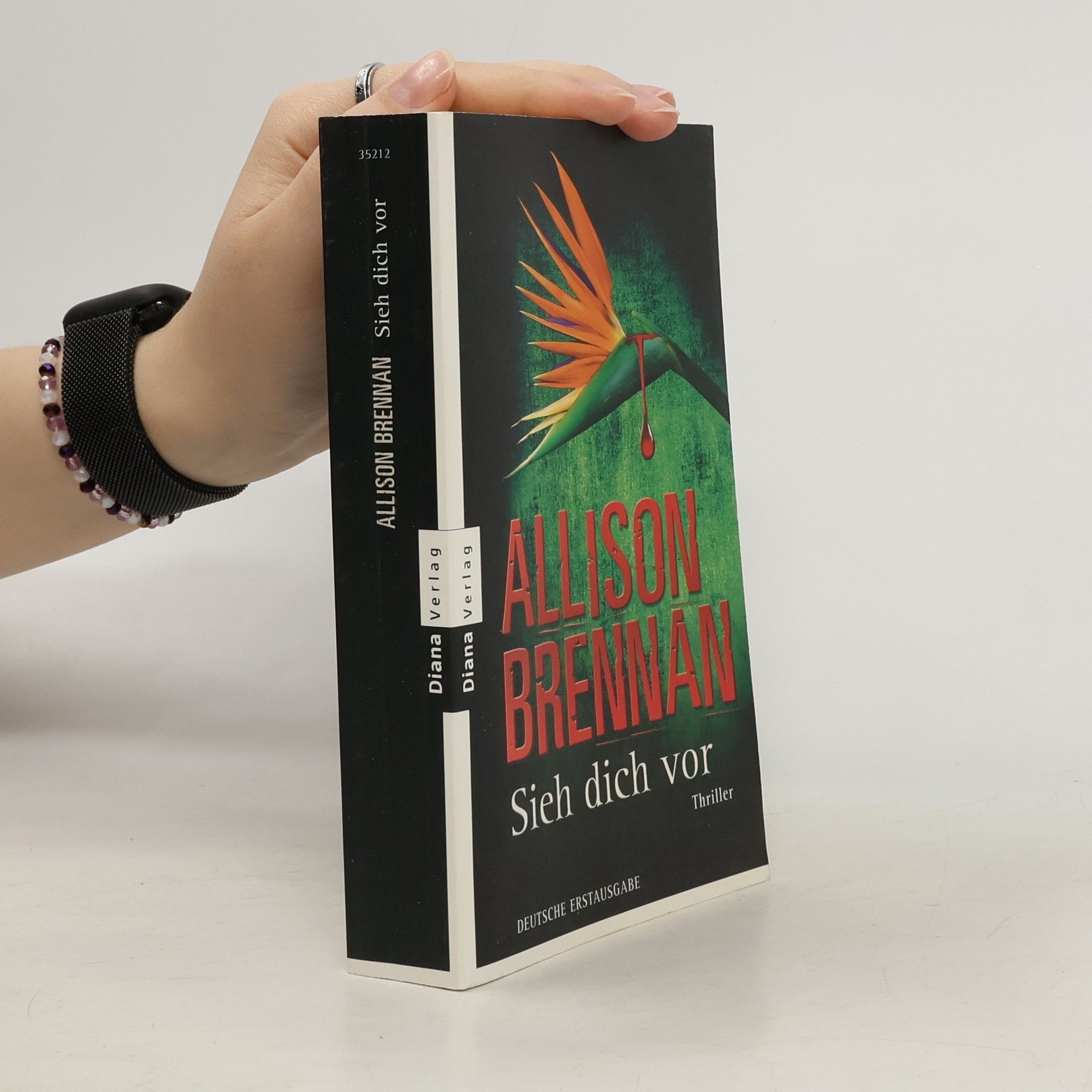 Allison Brennan Sieh dich vor