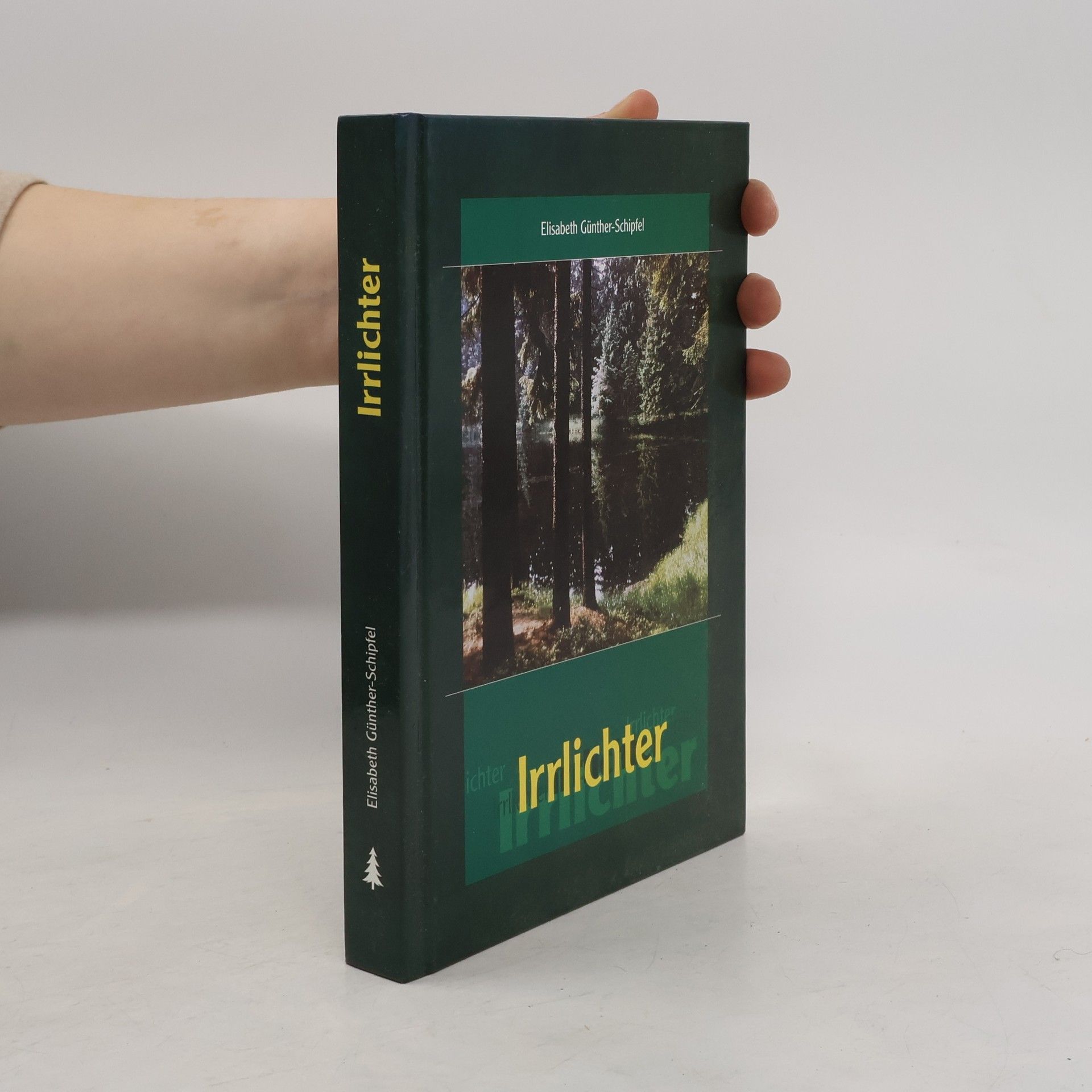Elisabeth Günther-Schipfel Irrlichter