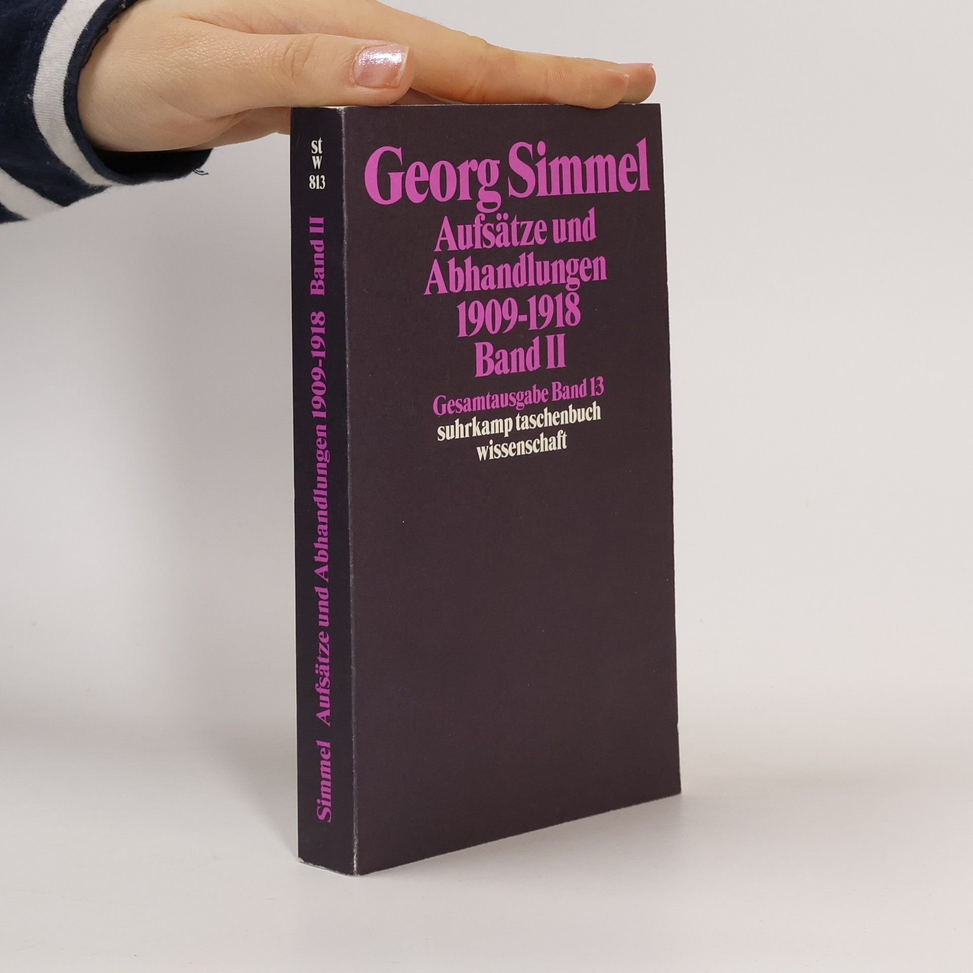 Georg Simmel Gesamtausgabe - 13: Aufsätze und Abhandlungen 1909-1918. Bd.2