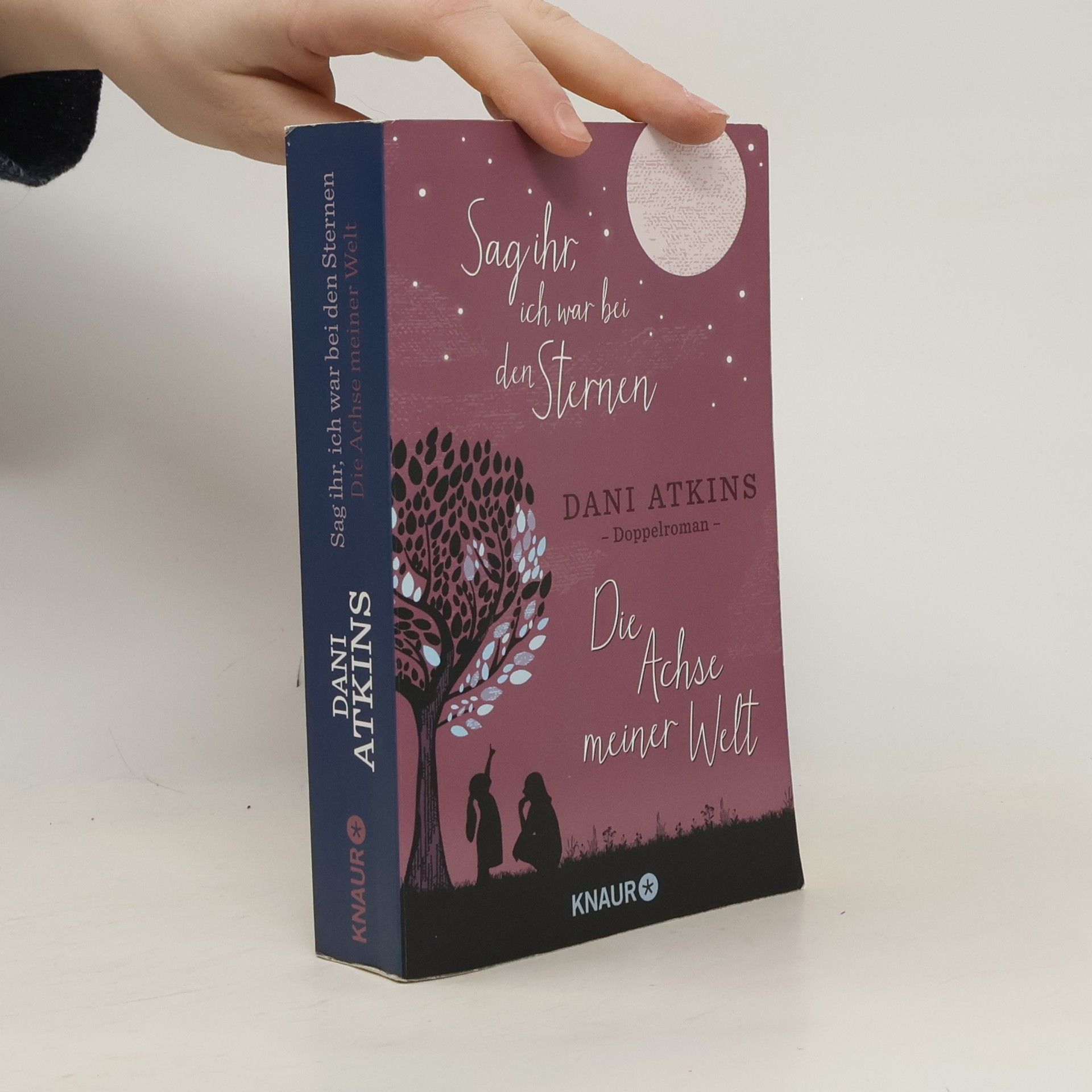 Dani Atkins Sag ihr, ich war bei den Sternen und Die Achse meiner Welt