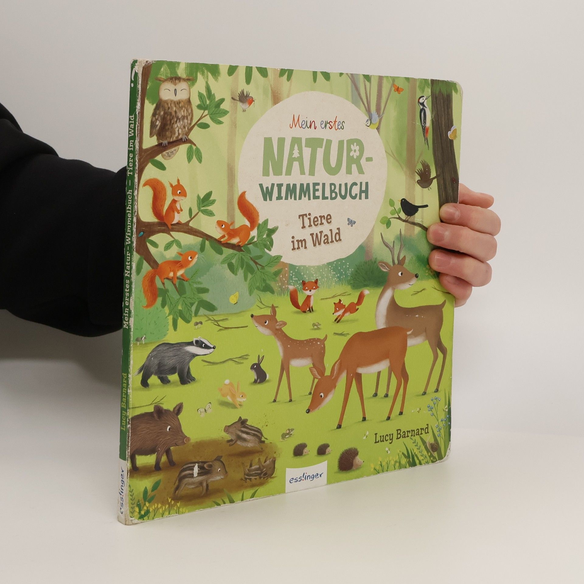Sibylle Schumann Mein erstes Natur-Wimmelbuch: Tiere im Wald