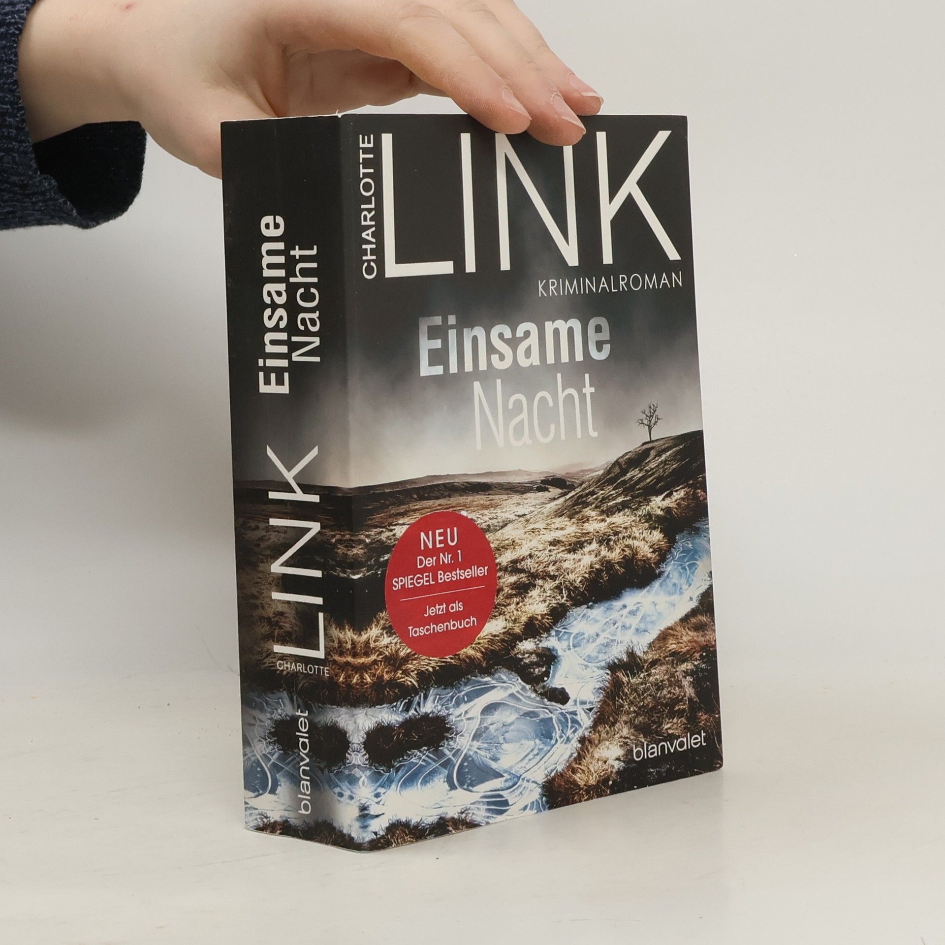 Charlotte Link Einsame Nacht