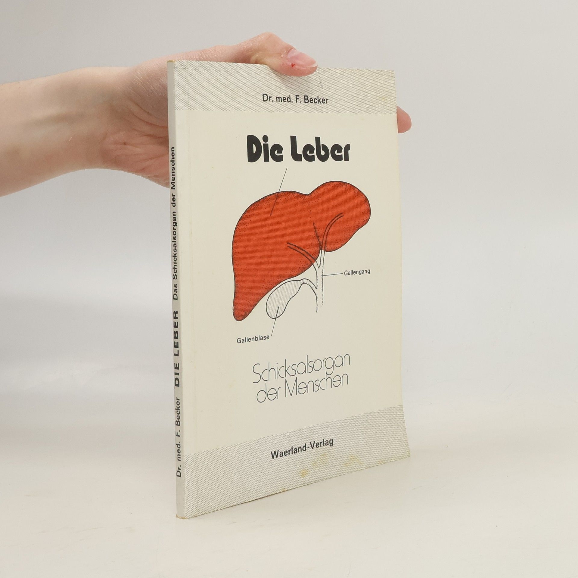F. Becker Die Leber
