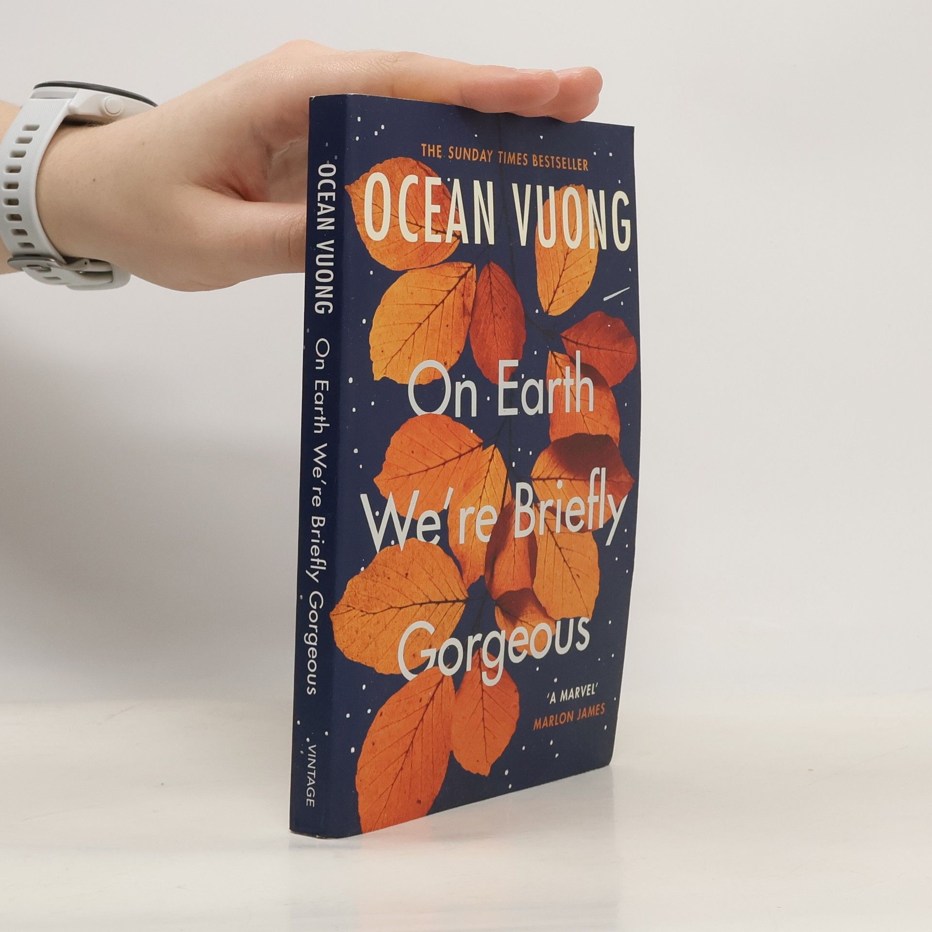 Ocean Vuong On Earth We're Briefly Gorgeous
