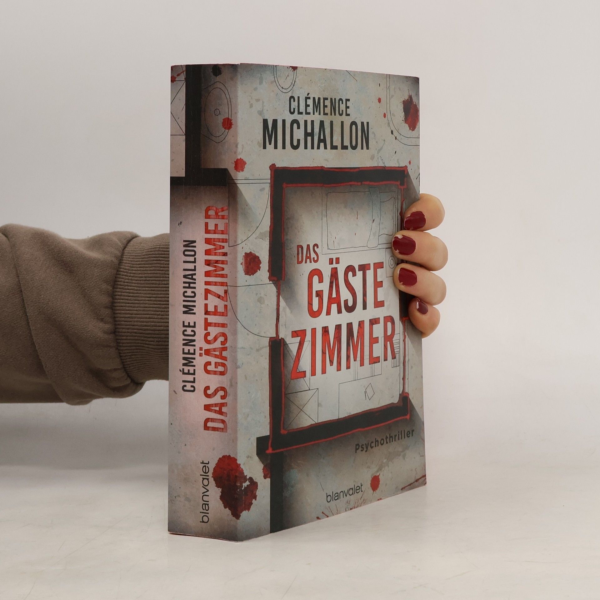 Clémence Michallon Das Gästezimmer