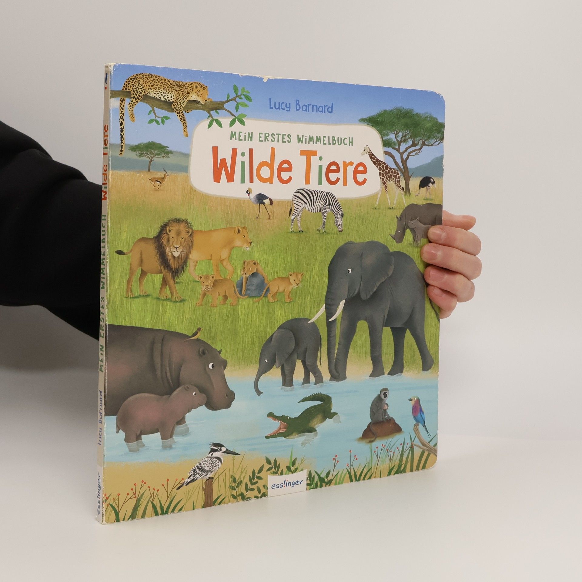 Lucy Barnard Mein erstes Wimmelbuch. Wilde Tiere