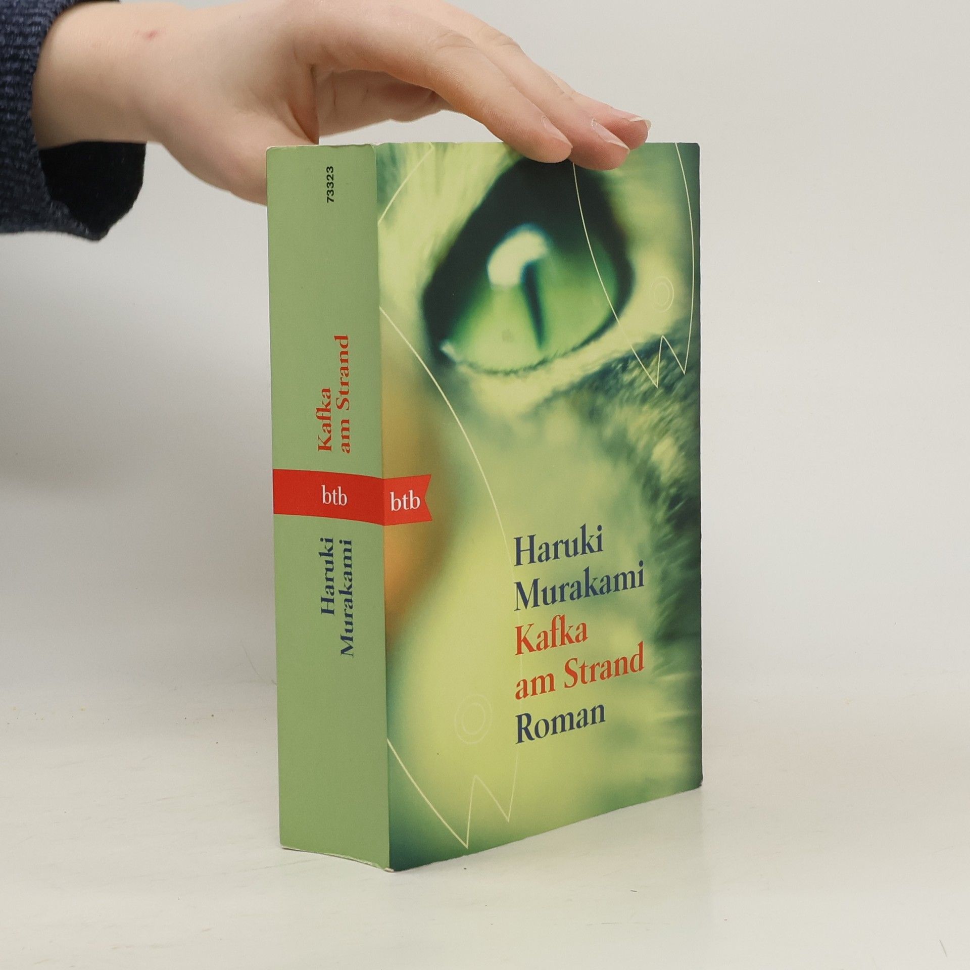 Haruki Murakami Kafka am Strand