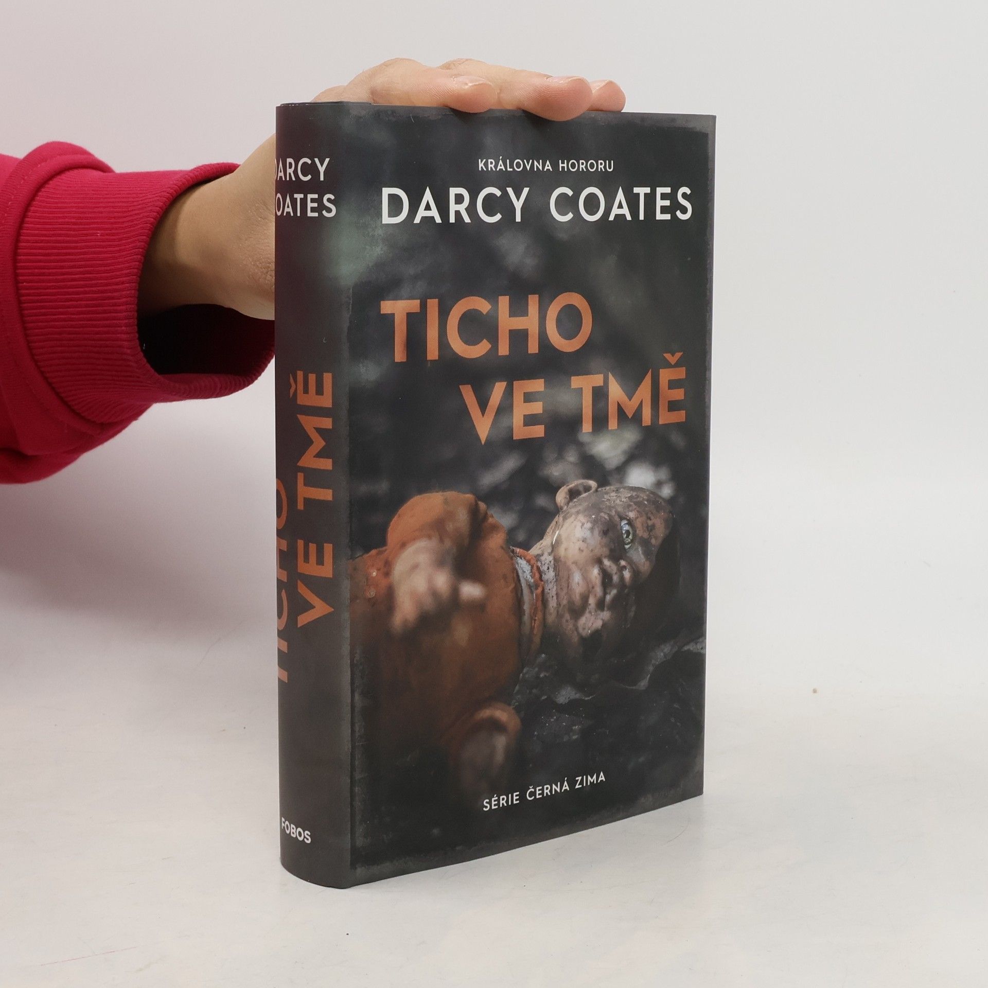 Darcy Coates Ticho ve tmě
