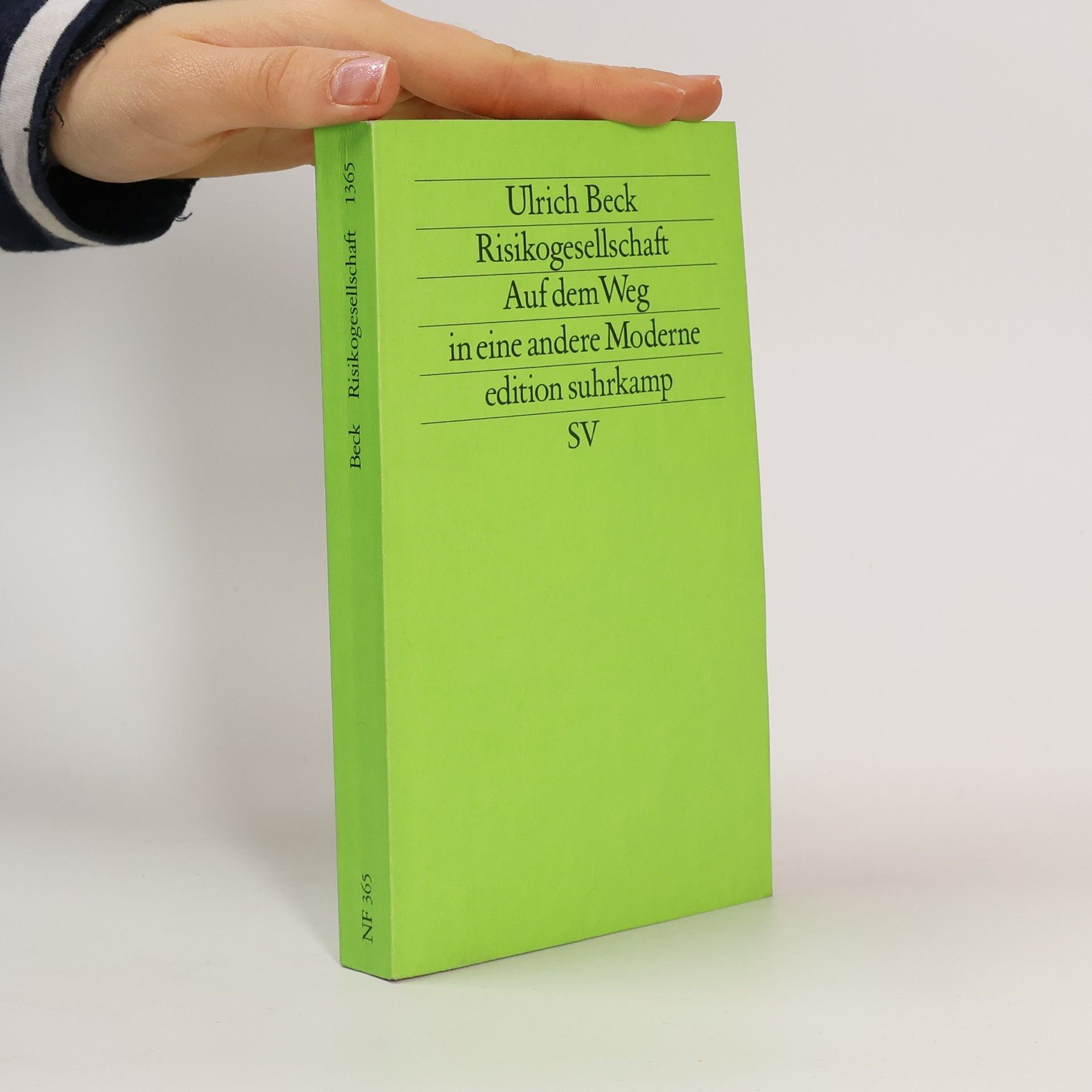 Ulrich Beck Risikogesellschaft