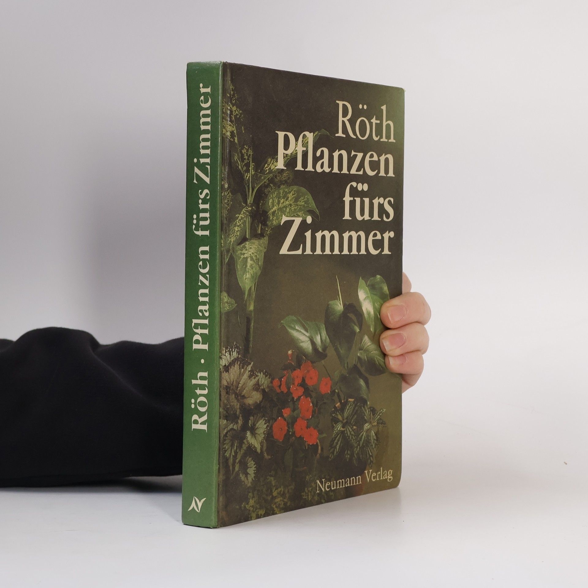 Jürgen Roeth Pflanzen fürs Zimmer