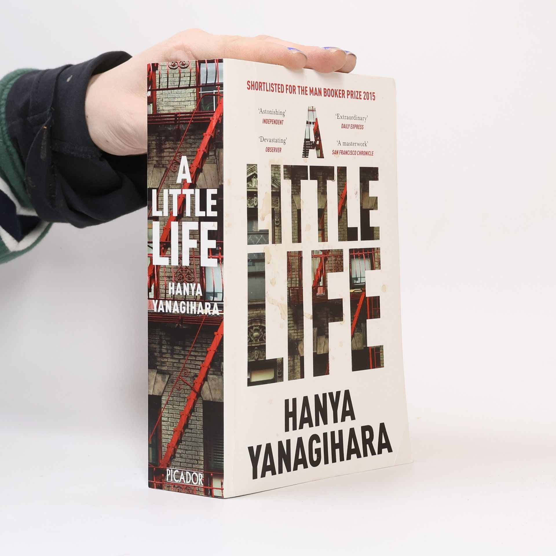Hanya Yanagihara A Little Life