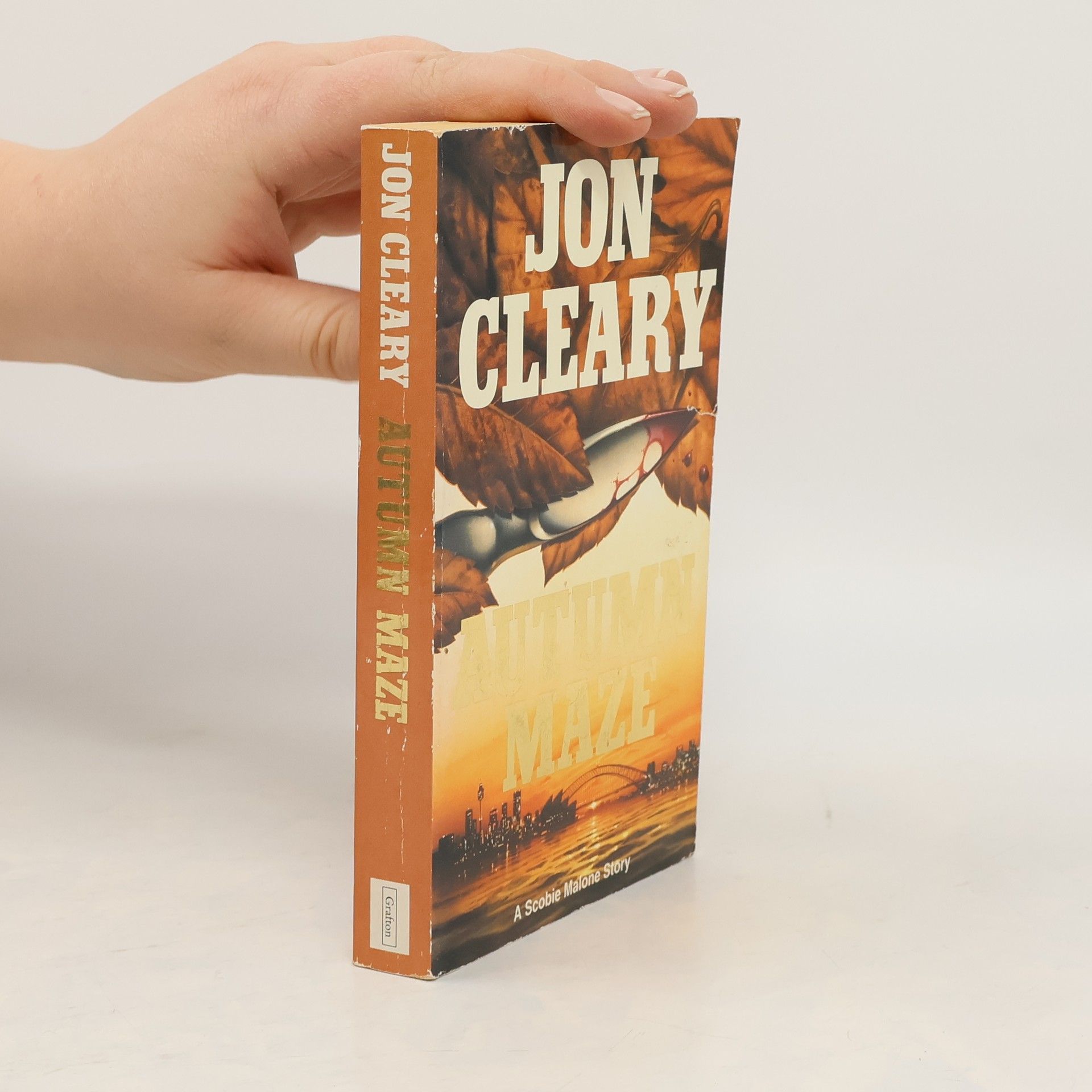 Jon Cleary Autumn Maze