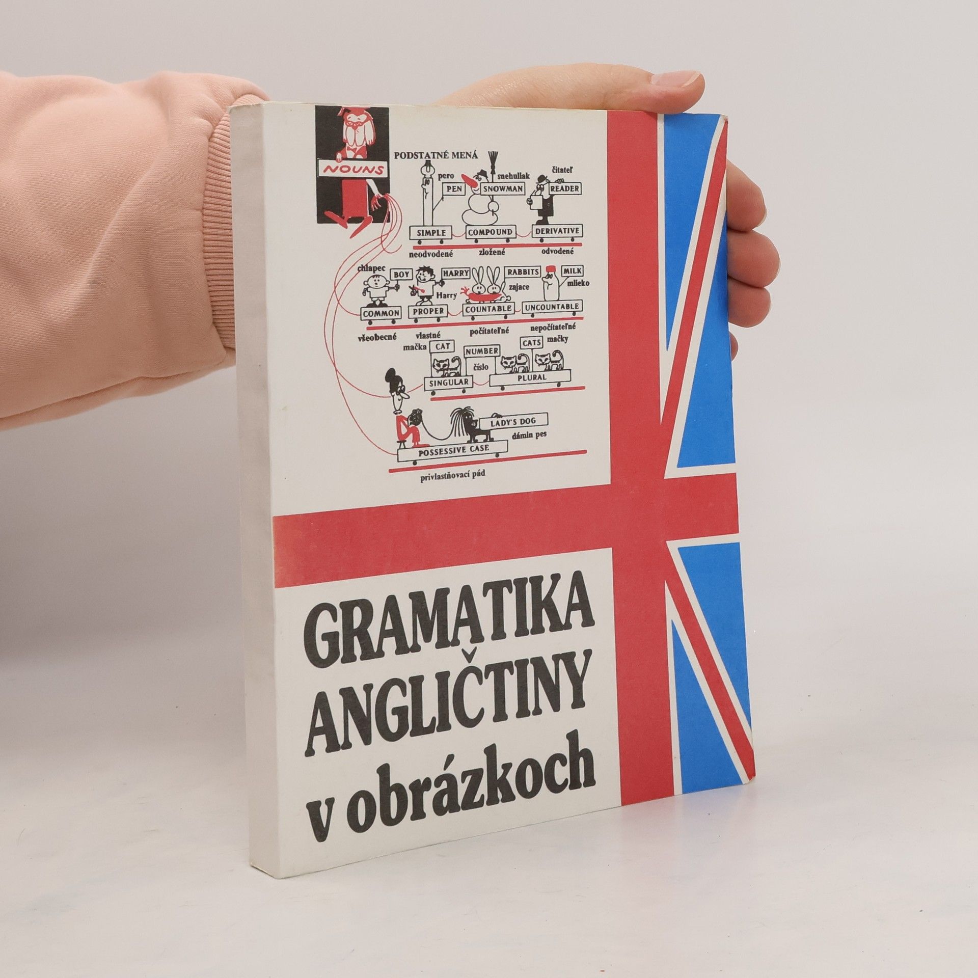 Mark Isaakovič Dubrovin Gramatika angličtiny v obrázkoch