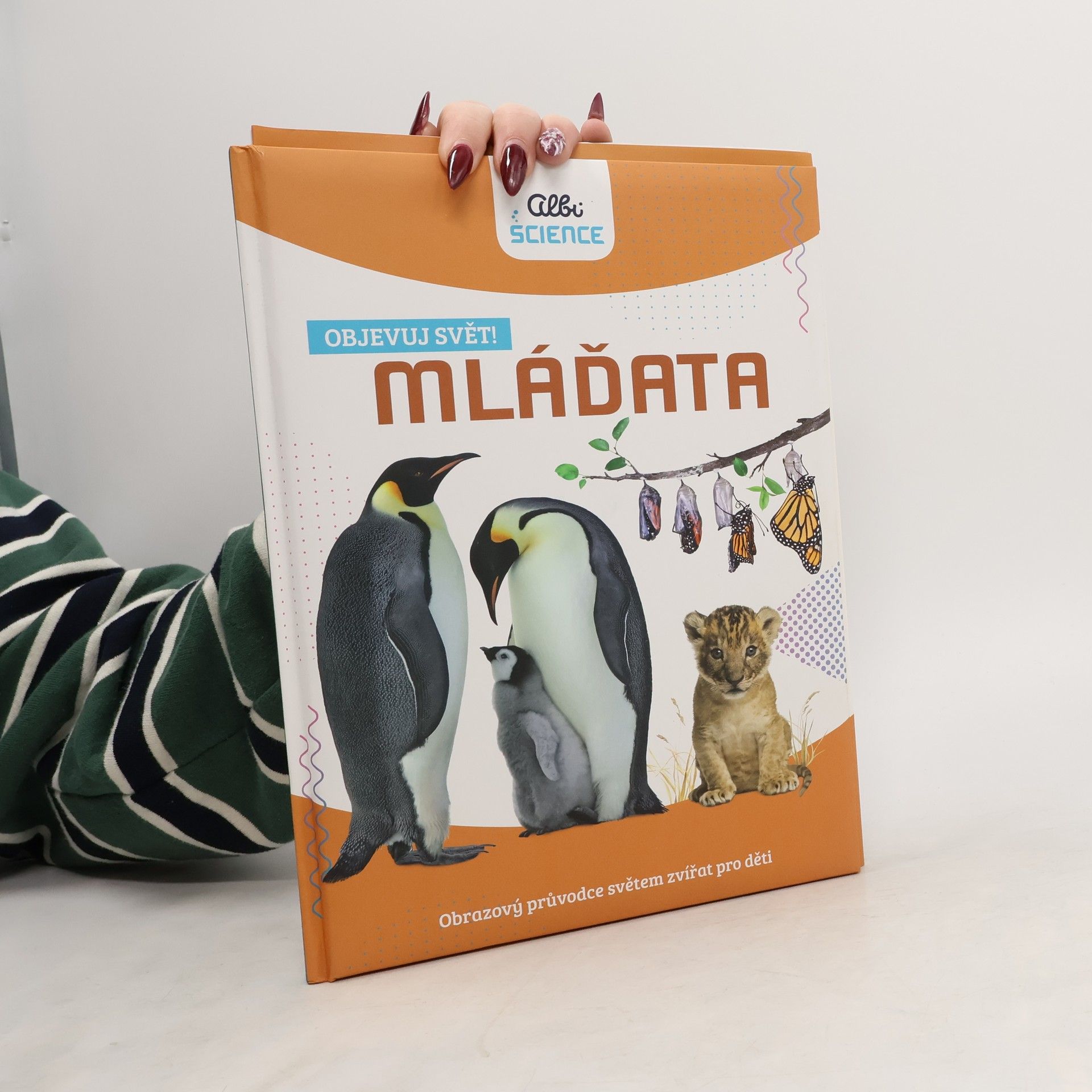 Autorenkollektiv Objevuj svět! Mláďata