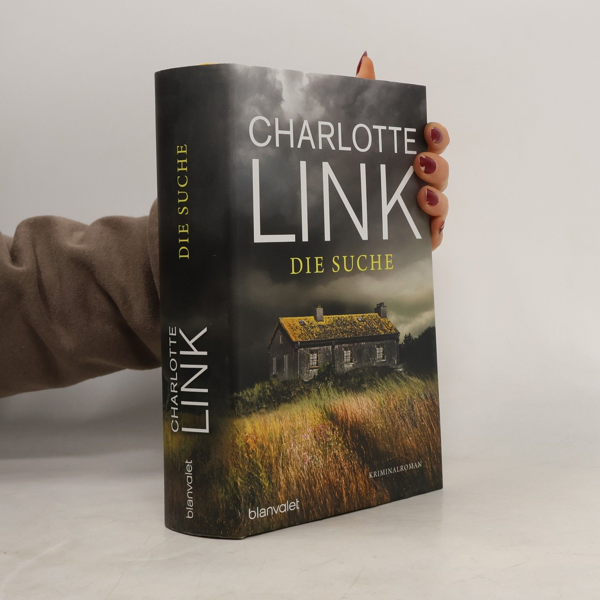 Charlotte Link Die Suche