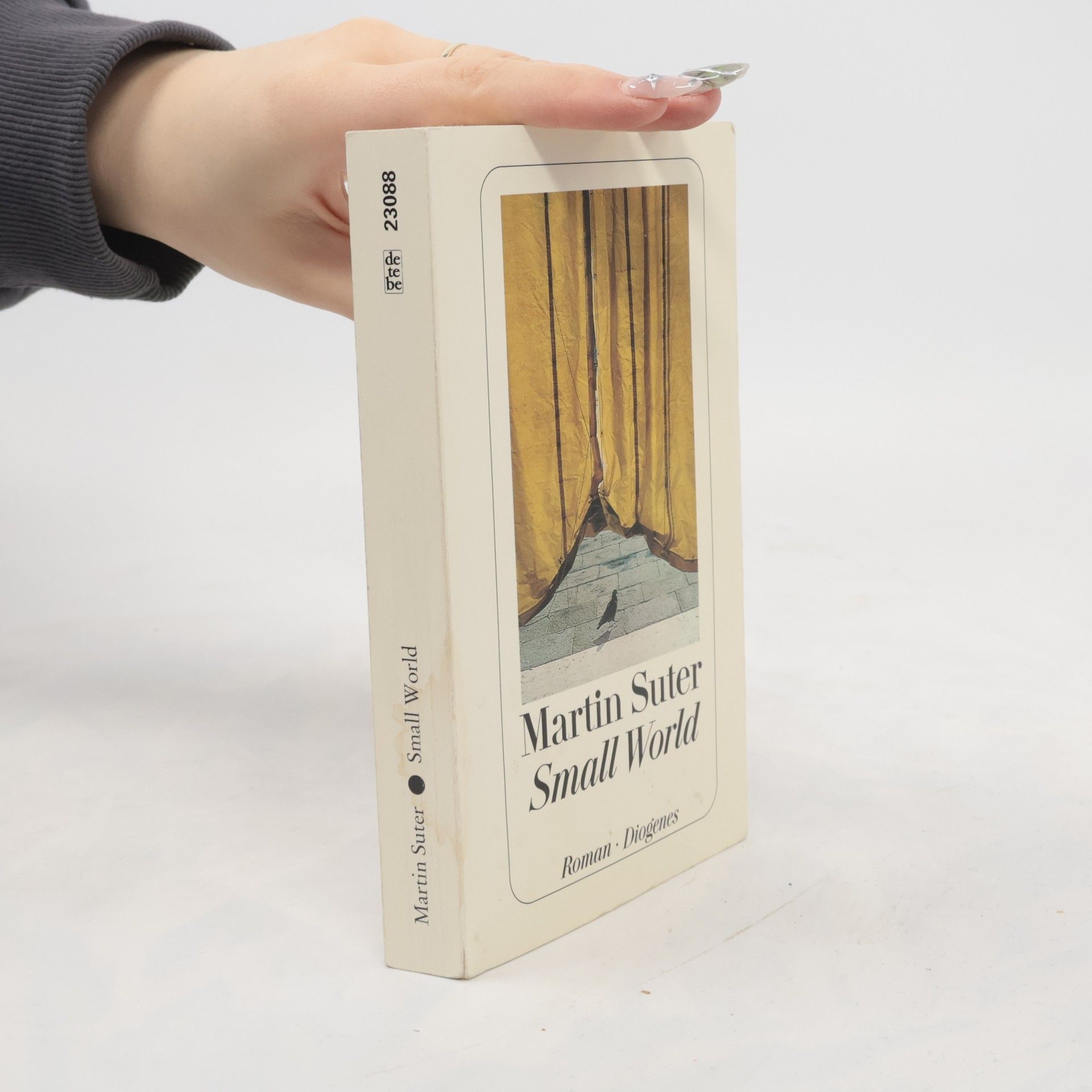 Martin Suter Small World