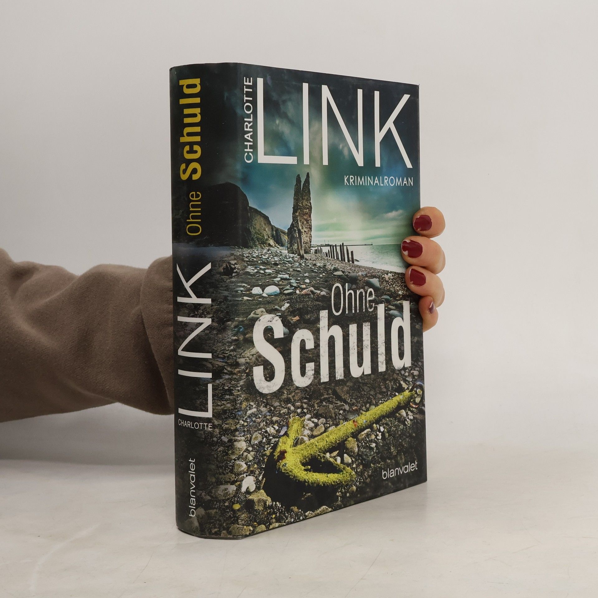 Charlotte Link Ohne Schuld