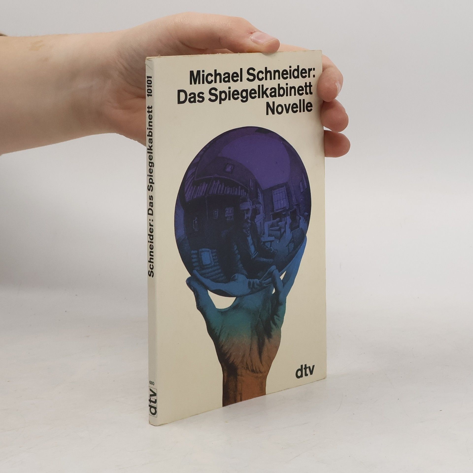 Michael Schneider Das Spiegelkabinett