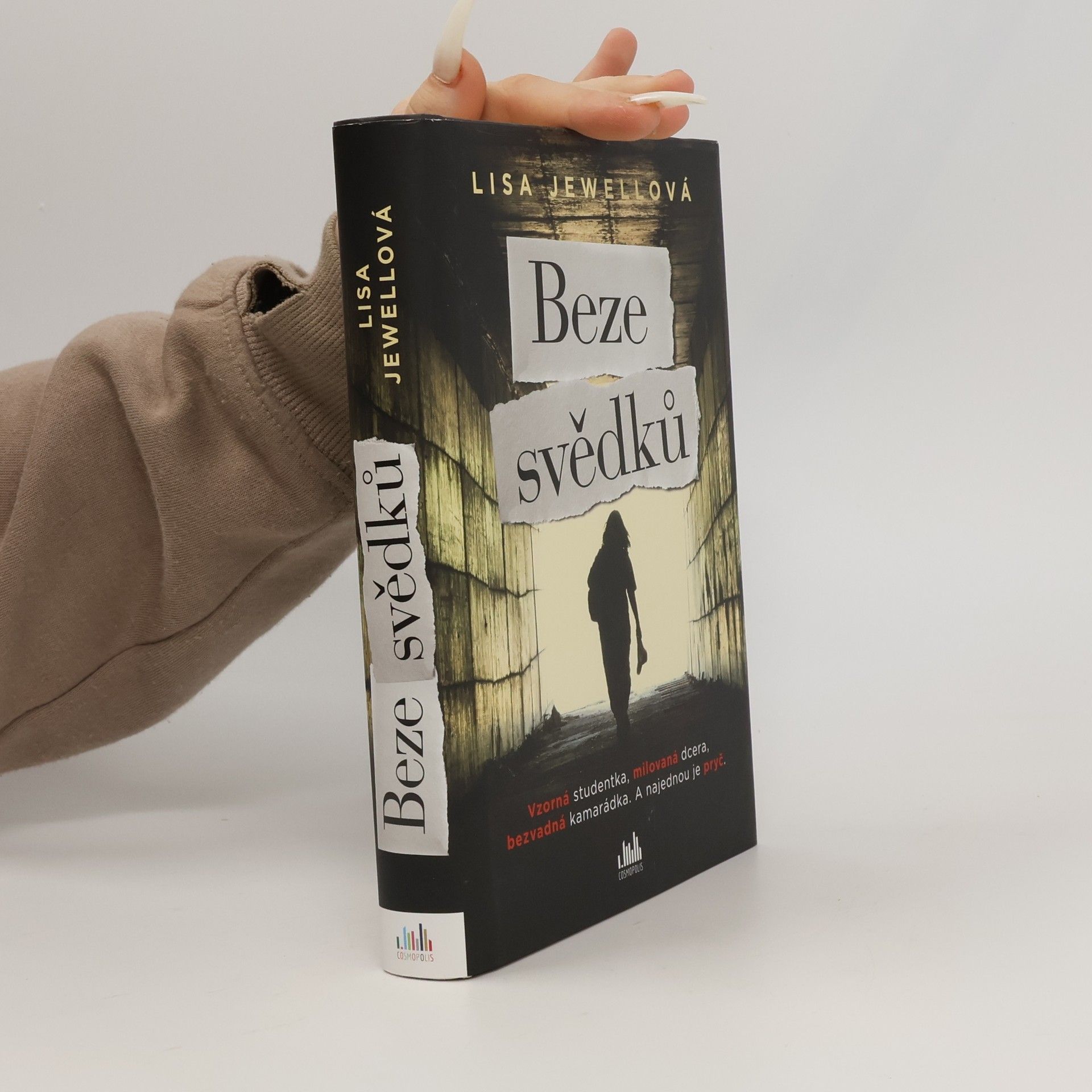 Lisa Jewell Beze svědků