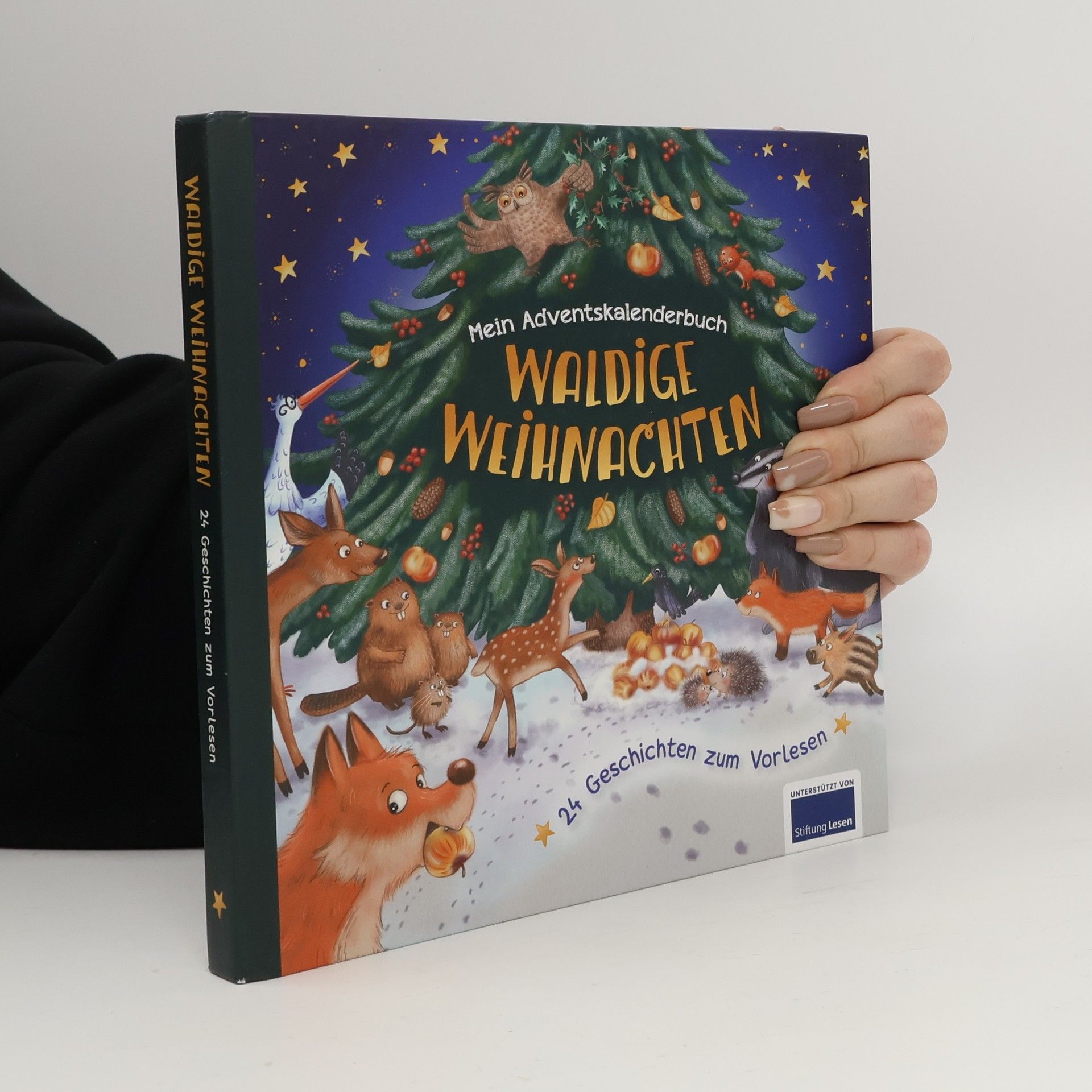 Kolektiv autorů Waldige Weihnachten