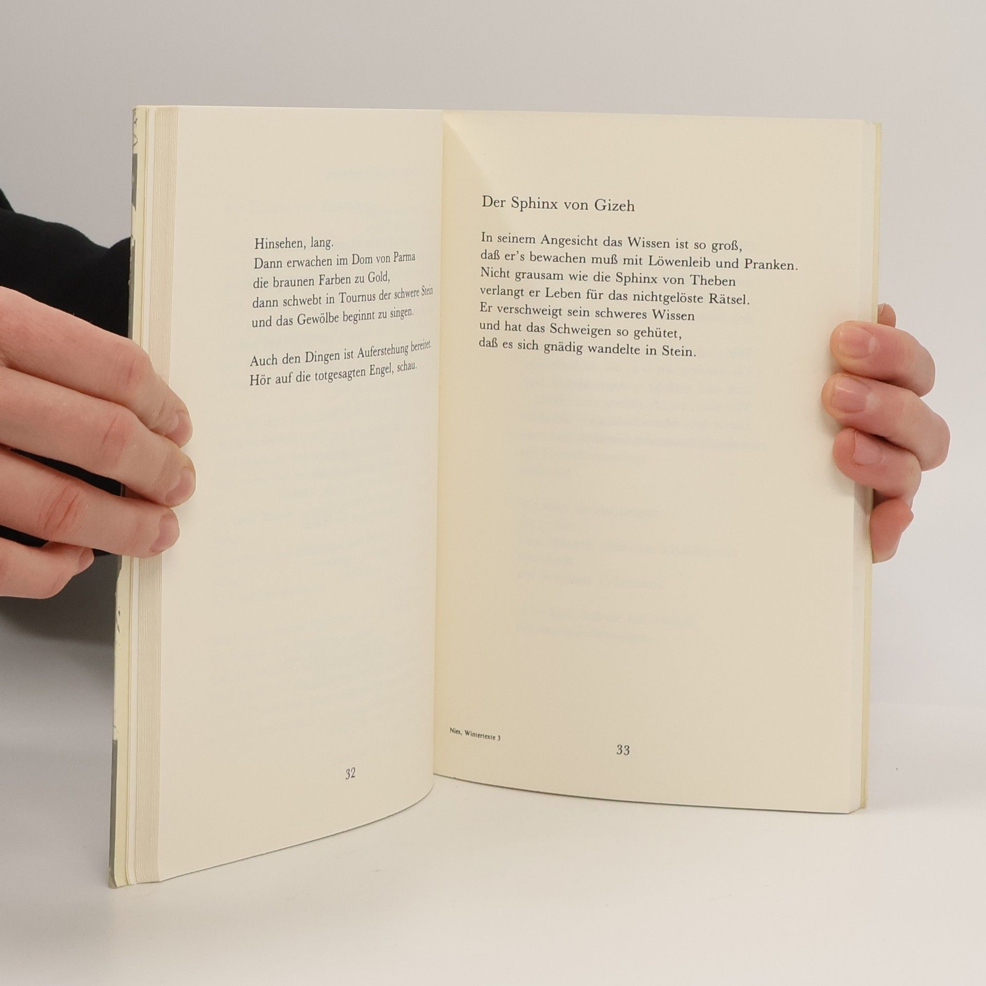 Annemarie Nies Wintertexte
