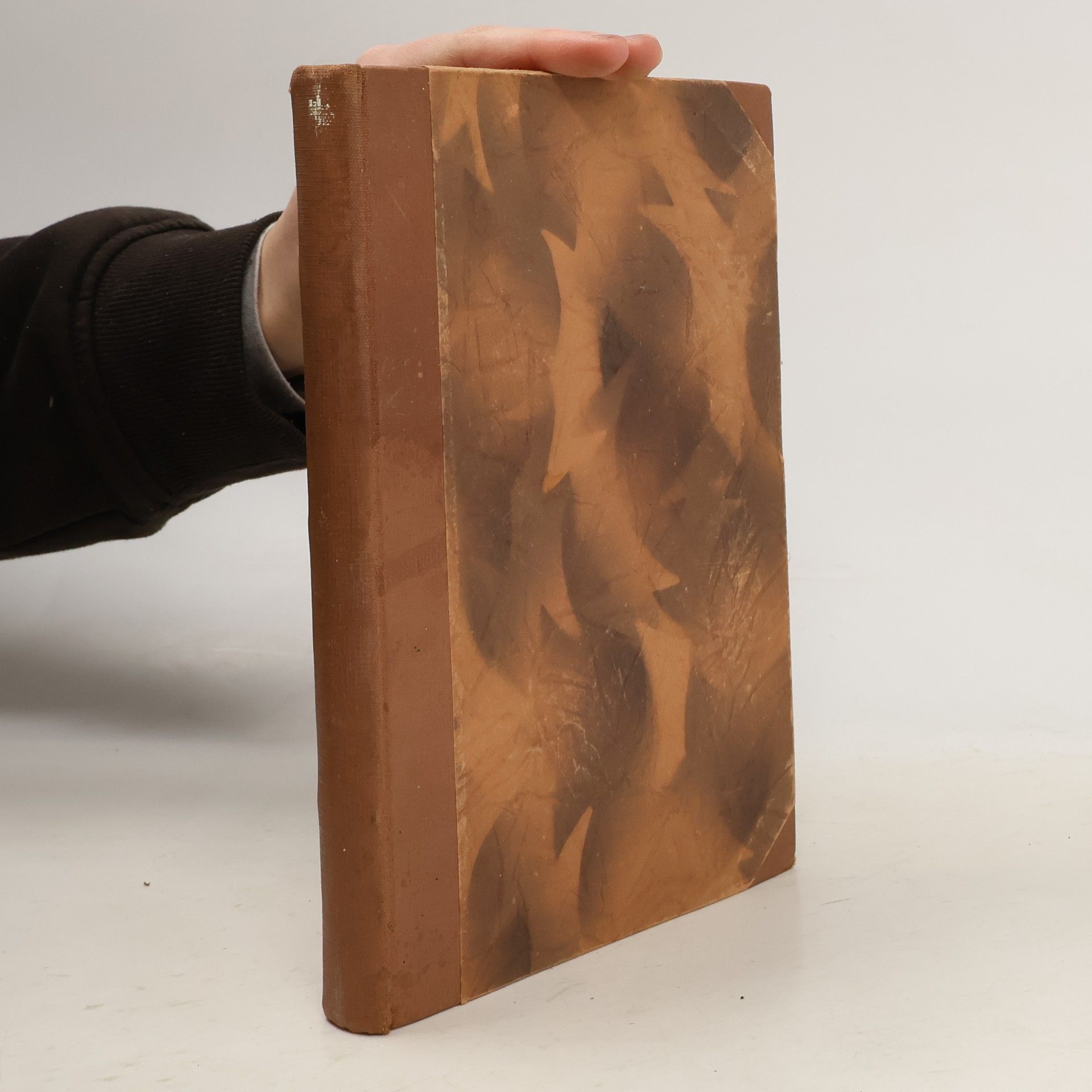 Vladimír Novotný Repetitorium dětského lékařství