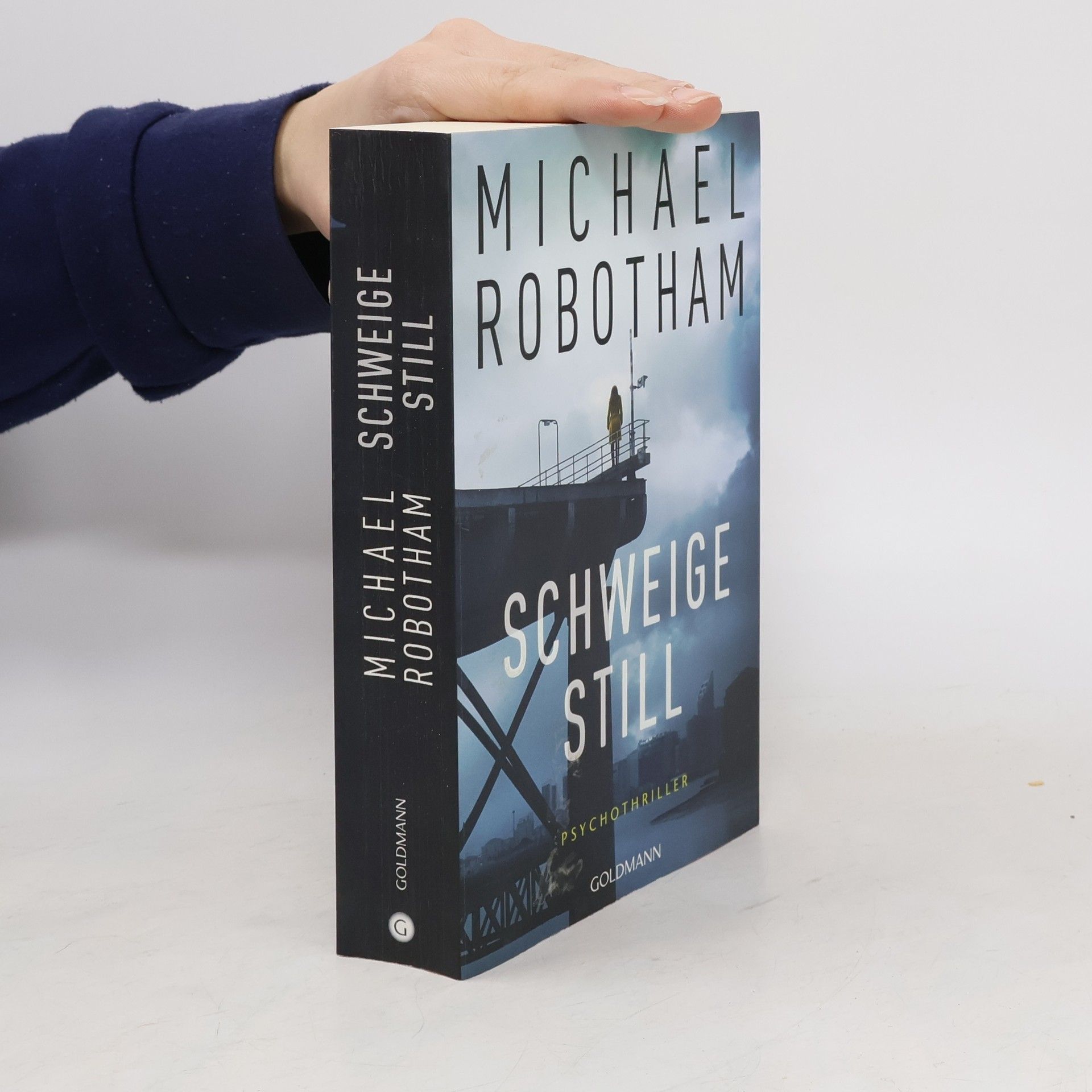 Michael Robotham Schweige Still