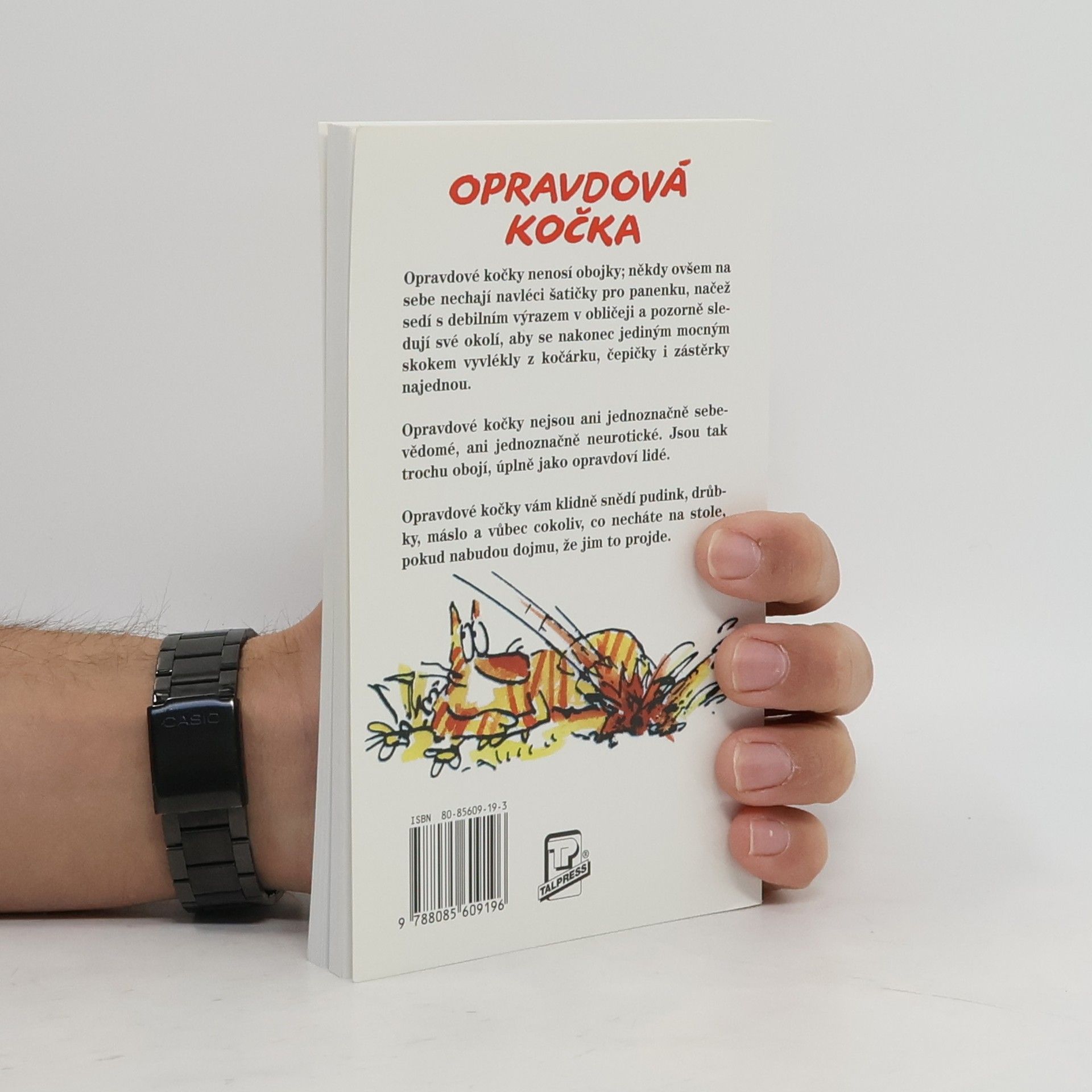 Terry Pratchett Nefalšovaná kočka