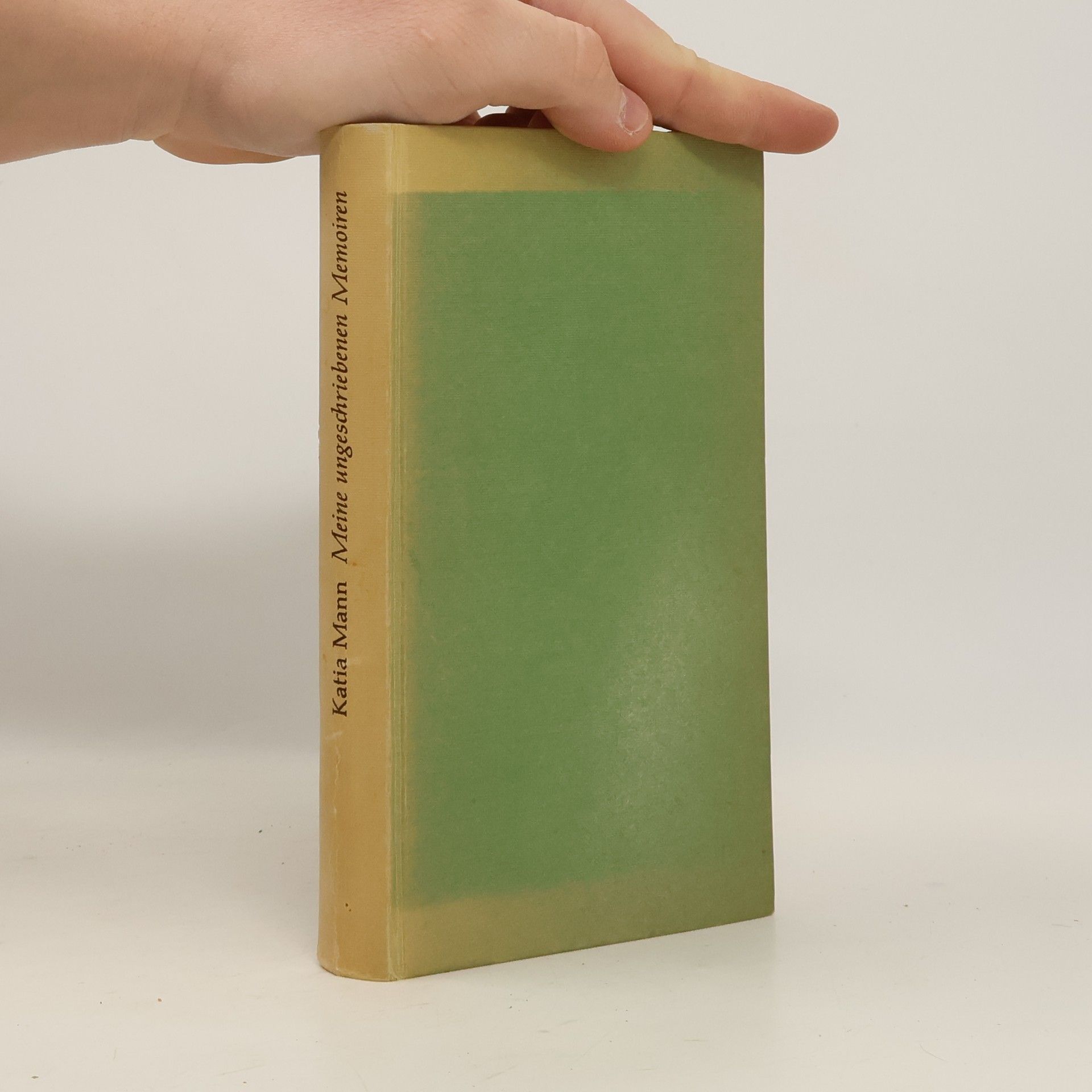 Katia Mann Meine ungeschriebenen Memoiren