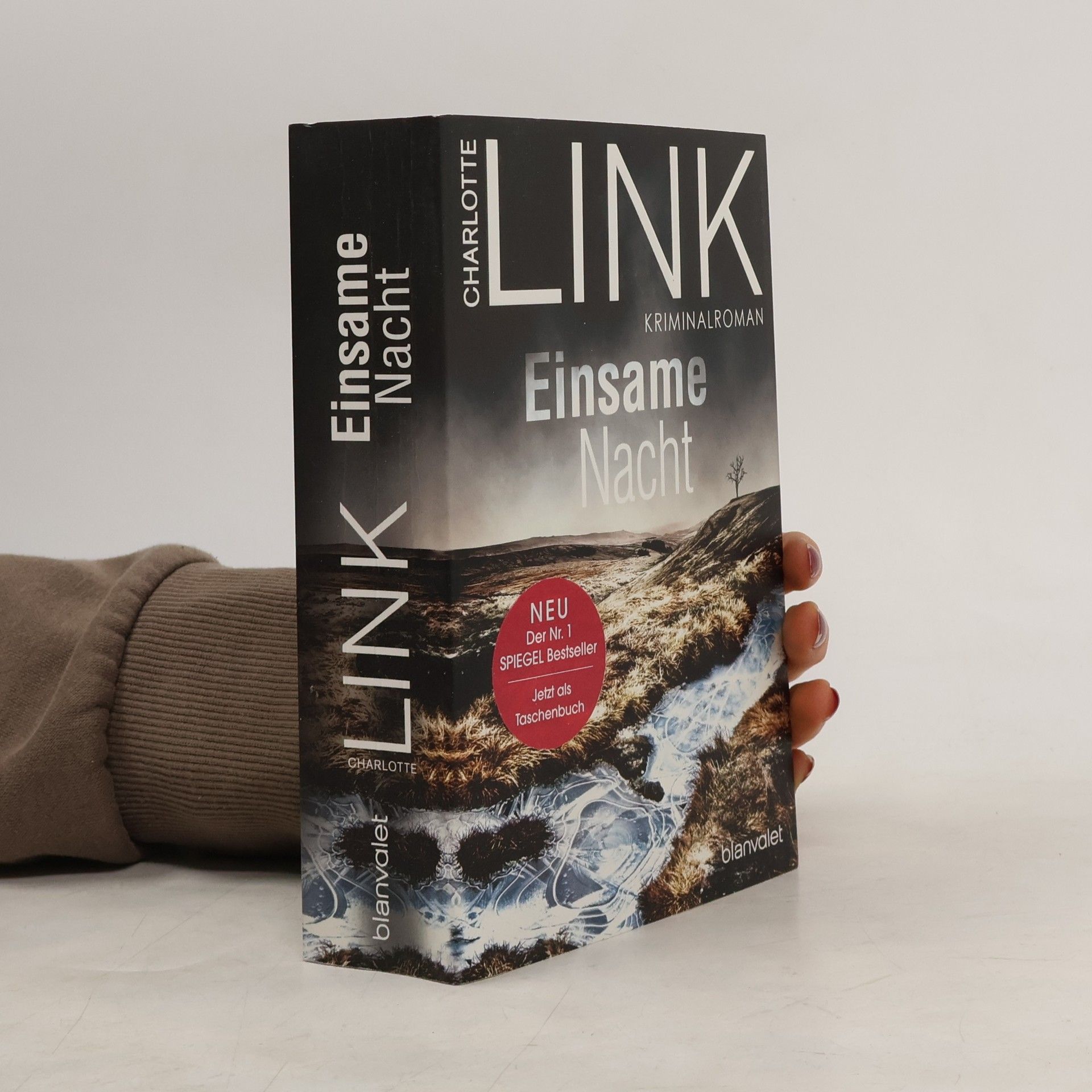 Charlotte Link Einsame Nacht