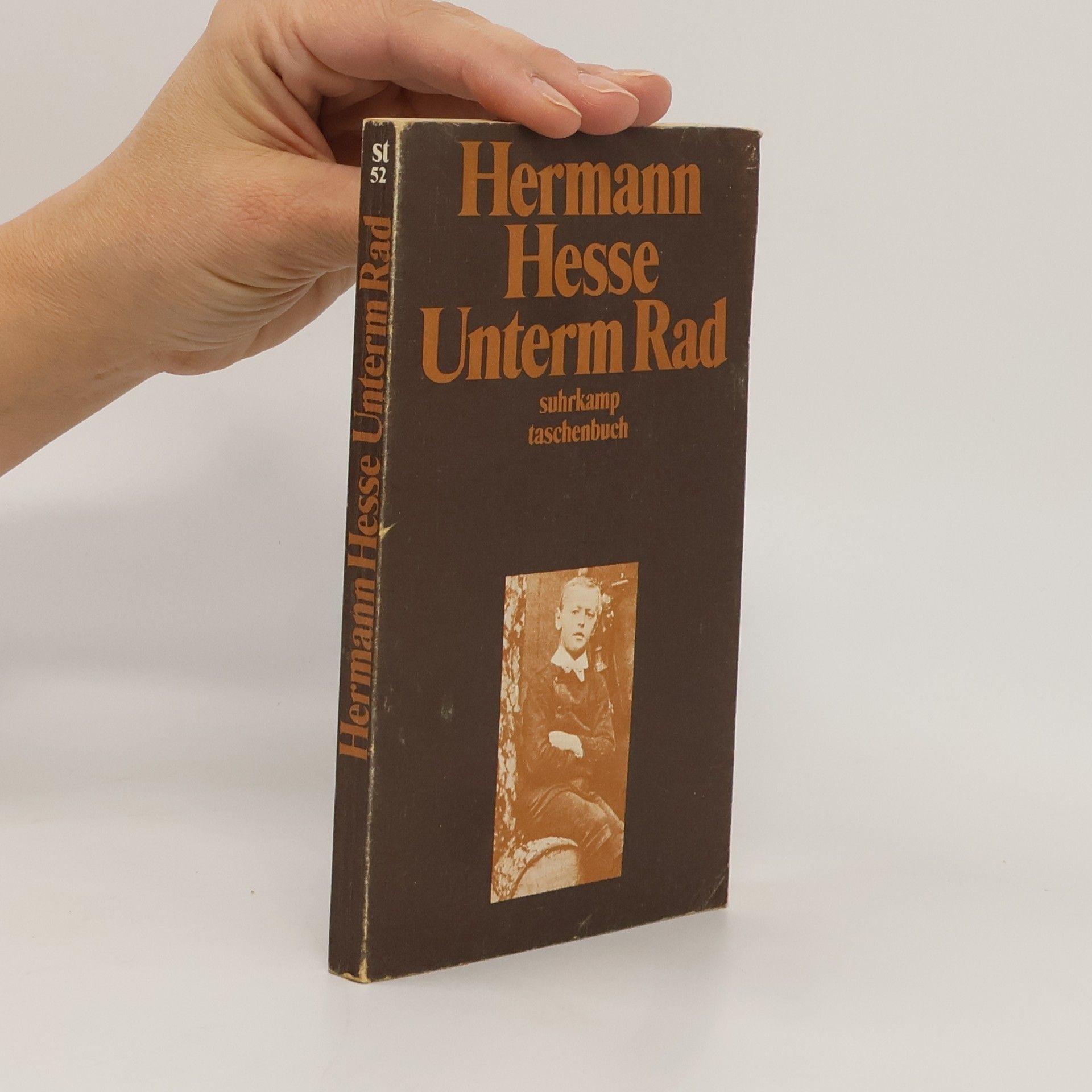 Hermann Hesse Unterm Rad