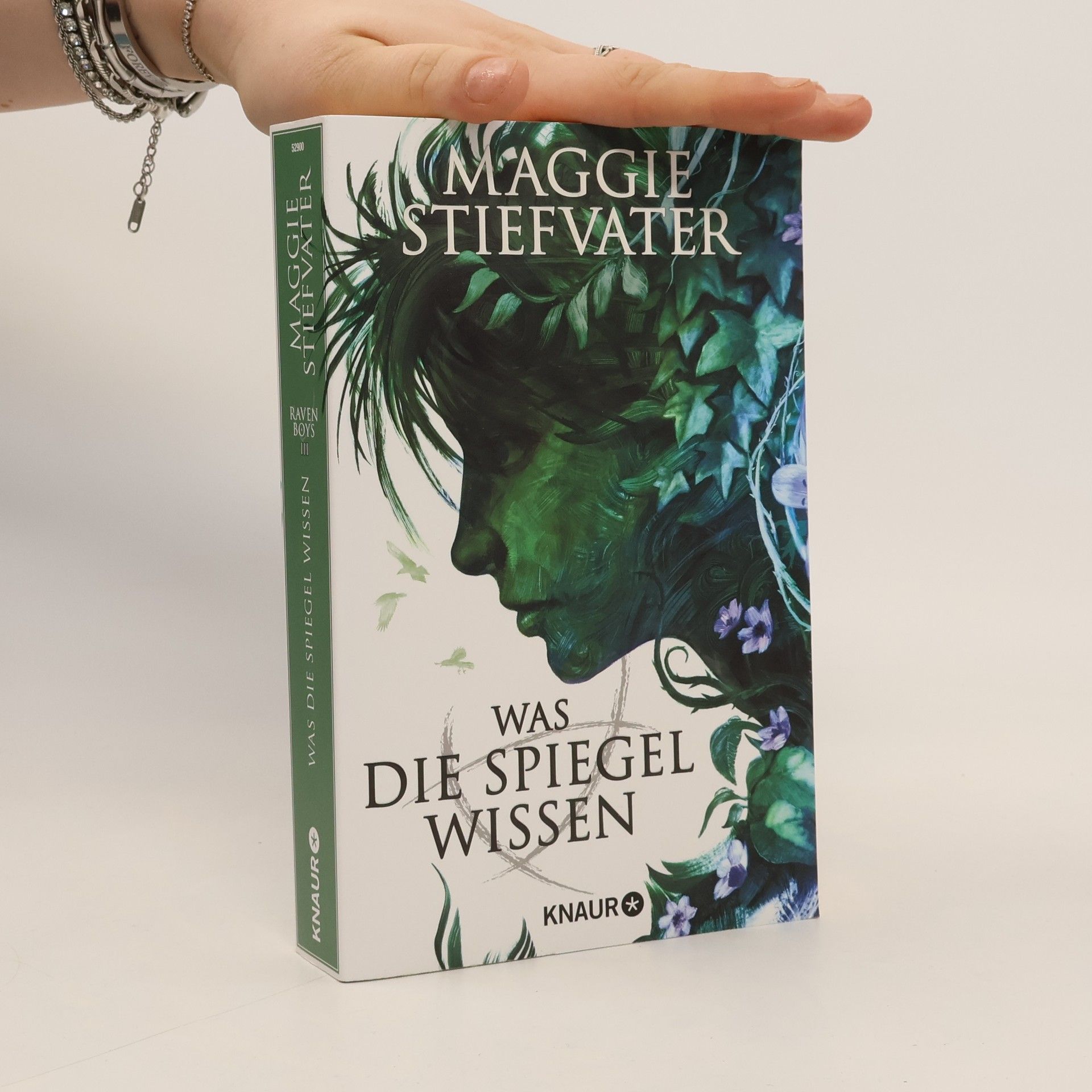 Maggie Stiefvaterová Was die Spiegel wissen