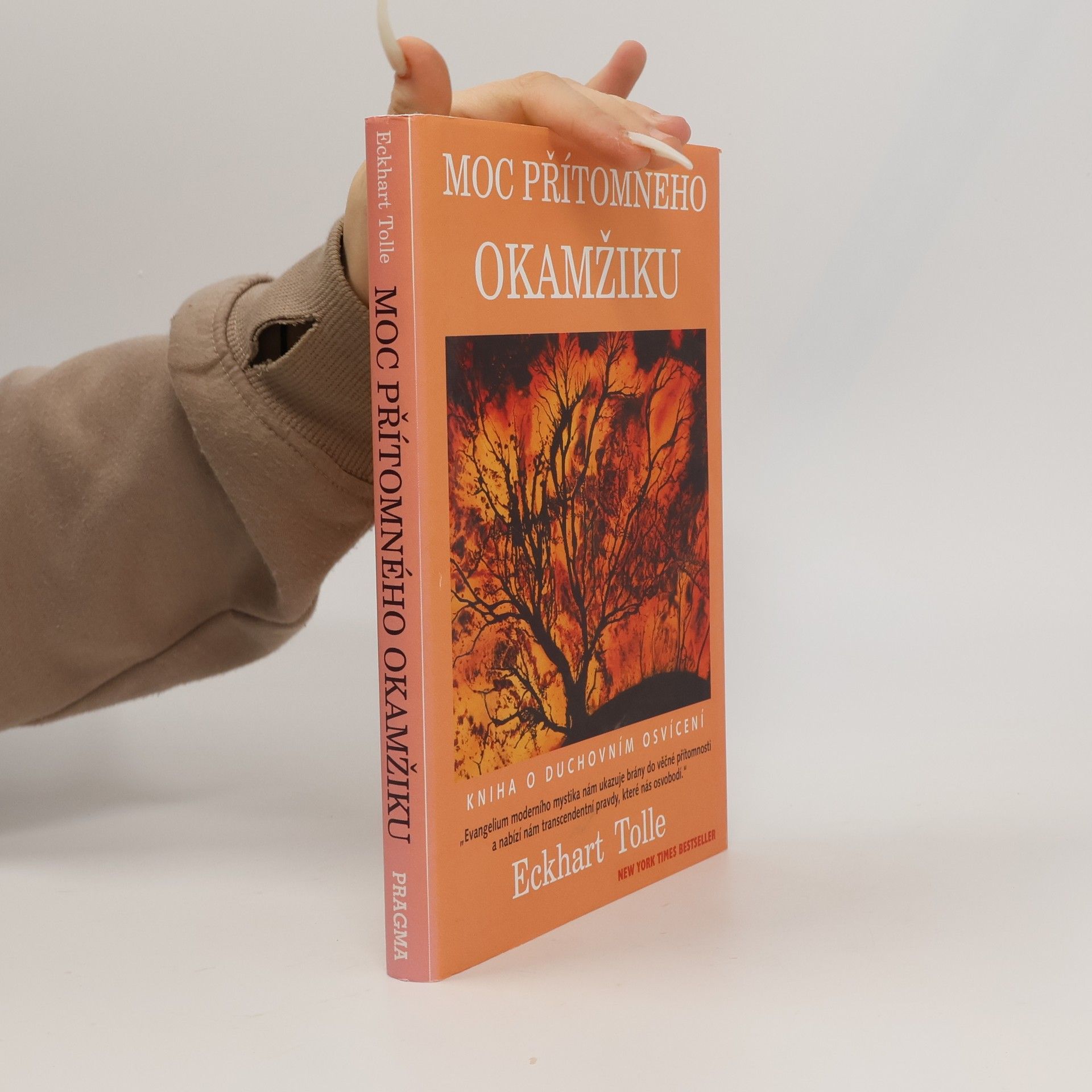 Eckhart Tolle Moc přítomného okamžiku