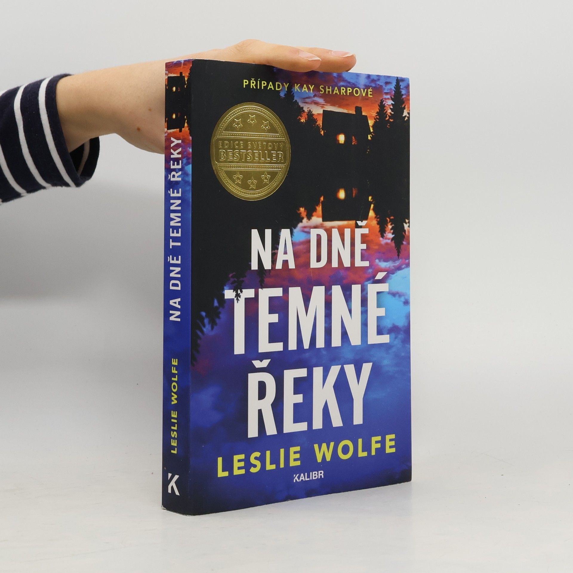 Leslie Wolfe Na dně Temné řeky