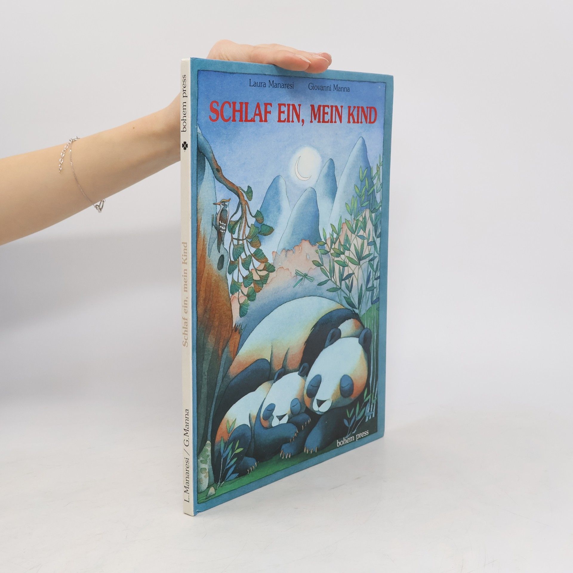 Schlaf ein, mein Kind