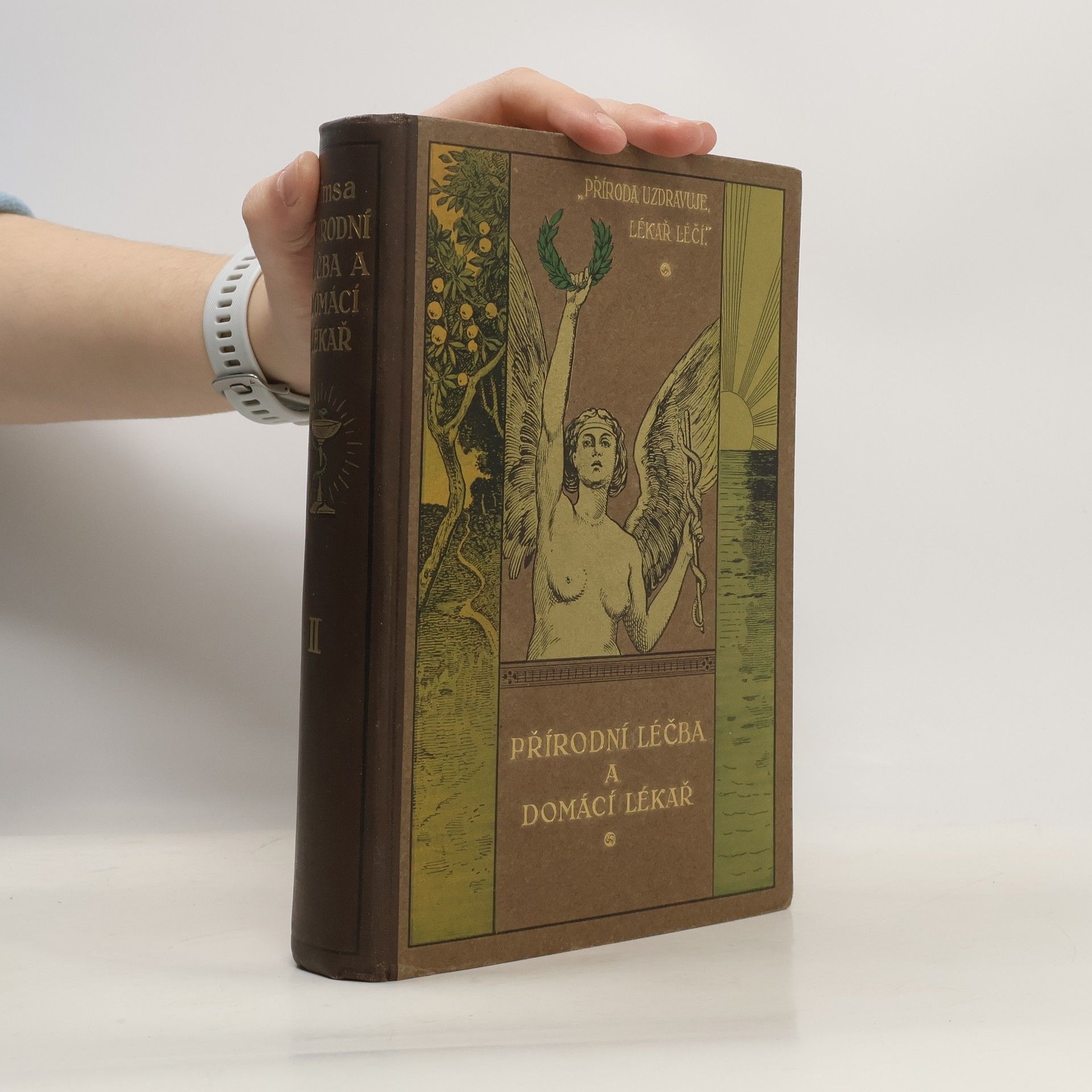 Jan Šimsa Přírodní léčba a domácí lékař. Díl II.