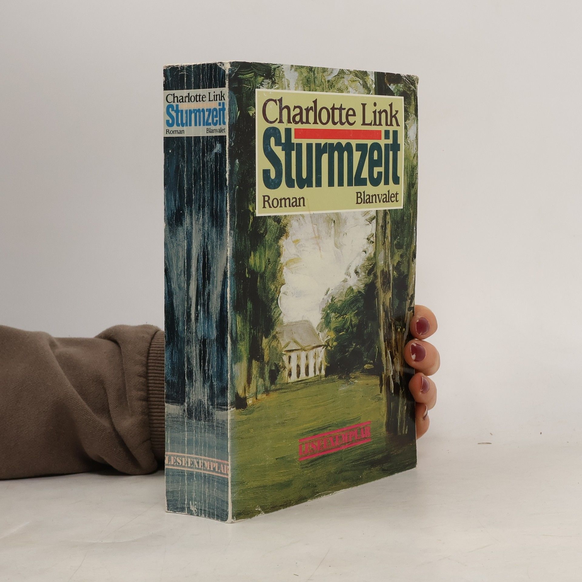 Charlotte Link Sturmzeit