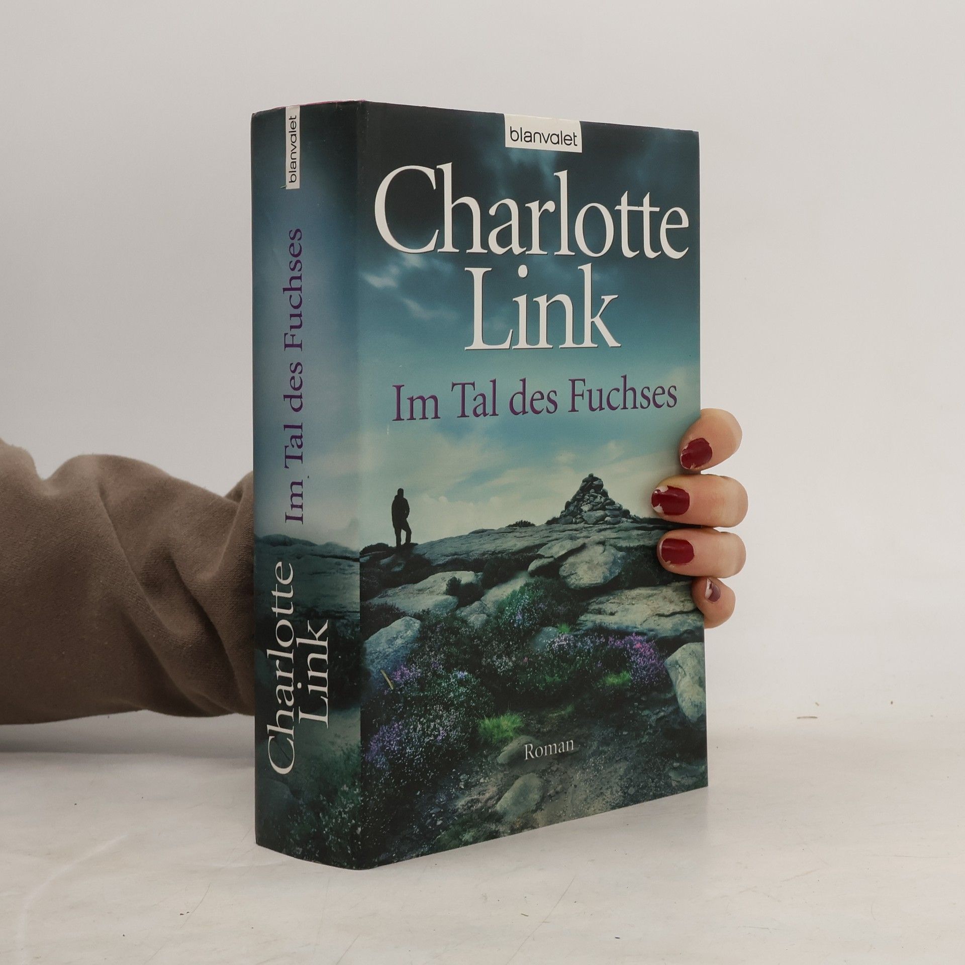 Charlotte Link Im Tal des Fuchses