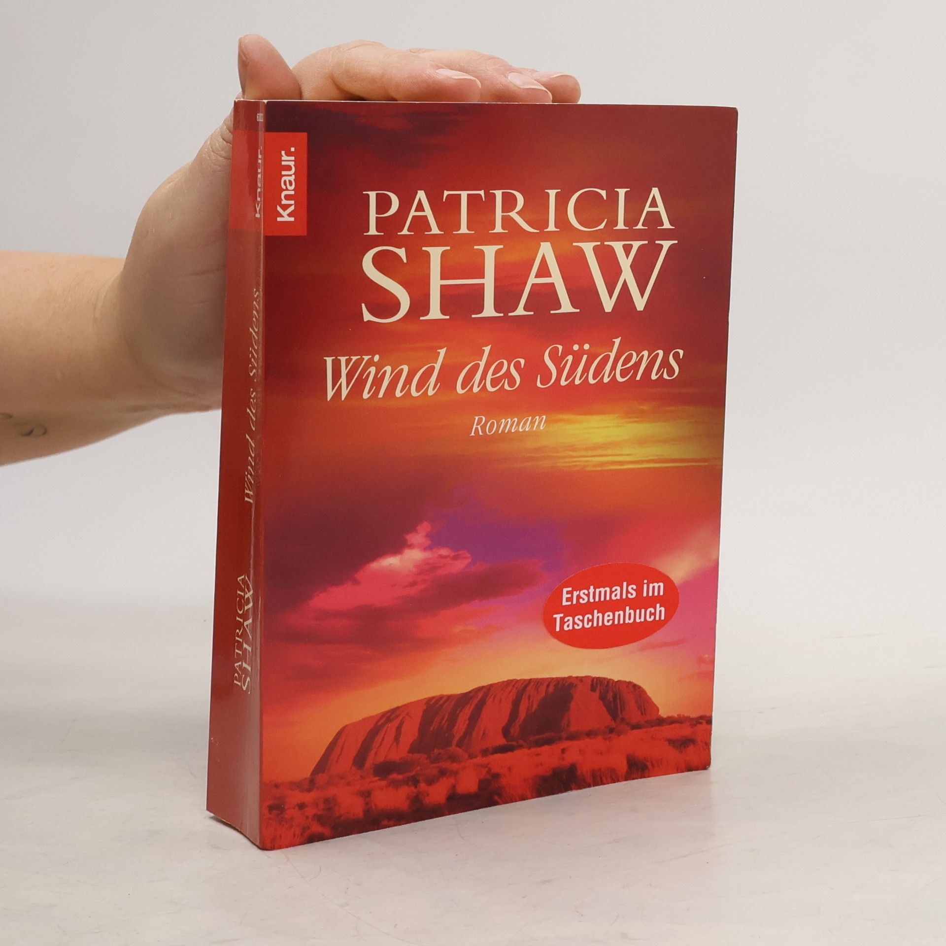 Patricia Shaw Wind des Südens