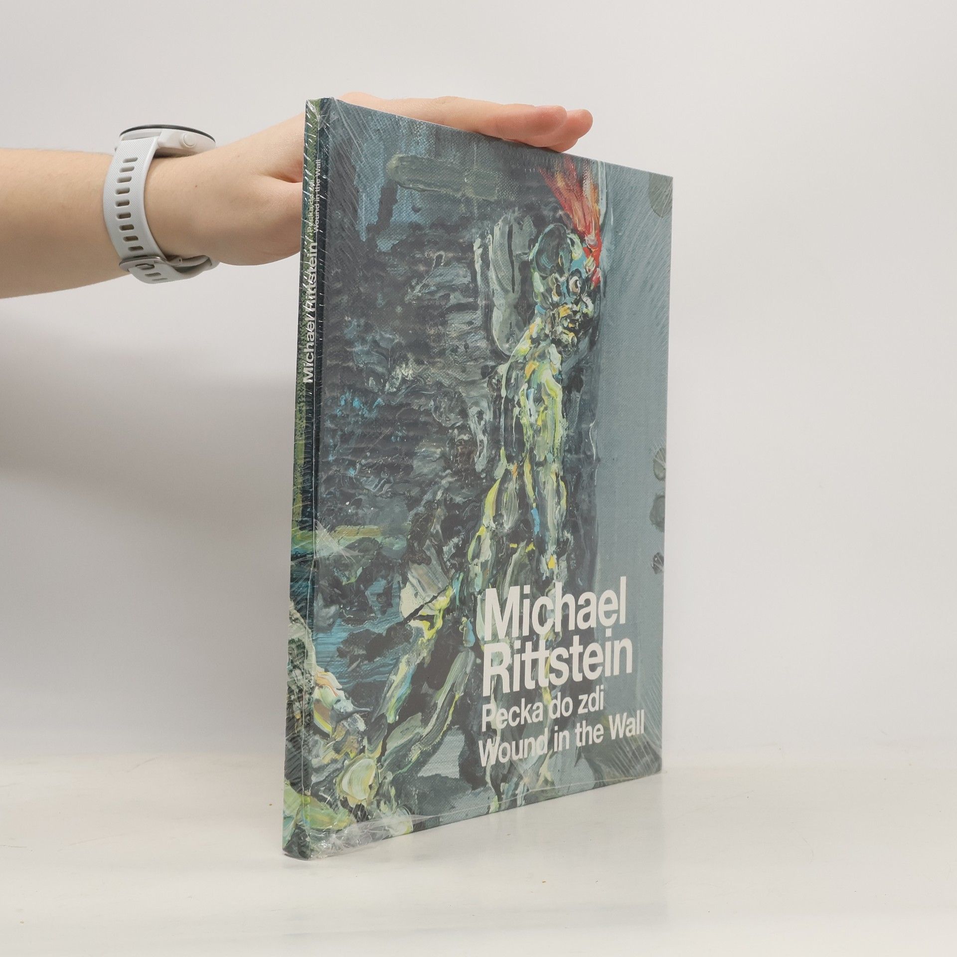 Michael Rittstein, Pecka do zdi / Wound in the Wall