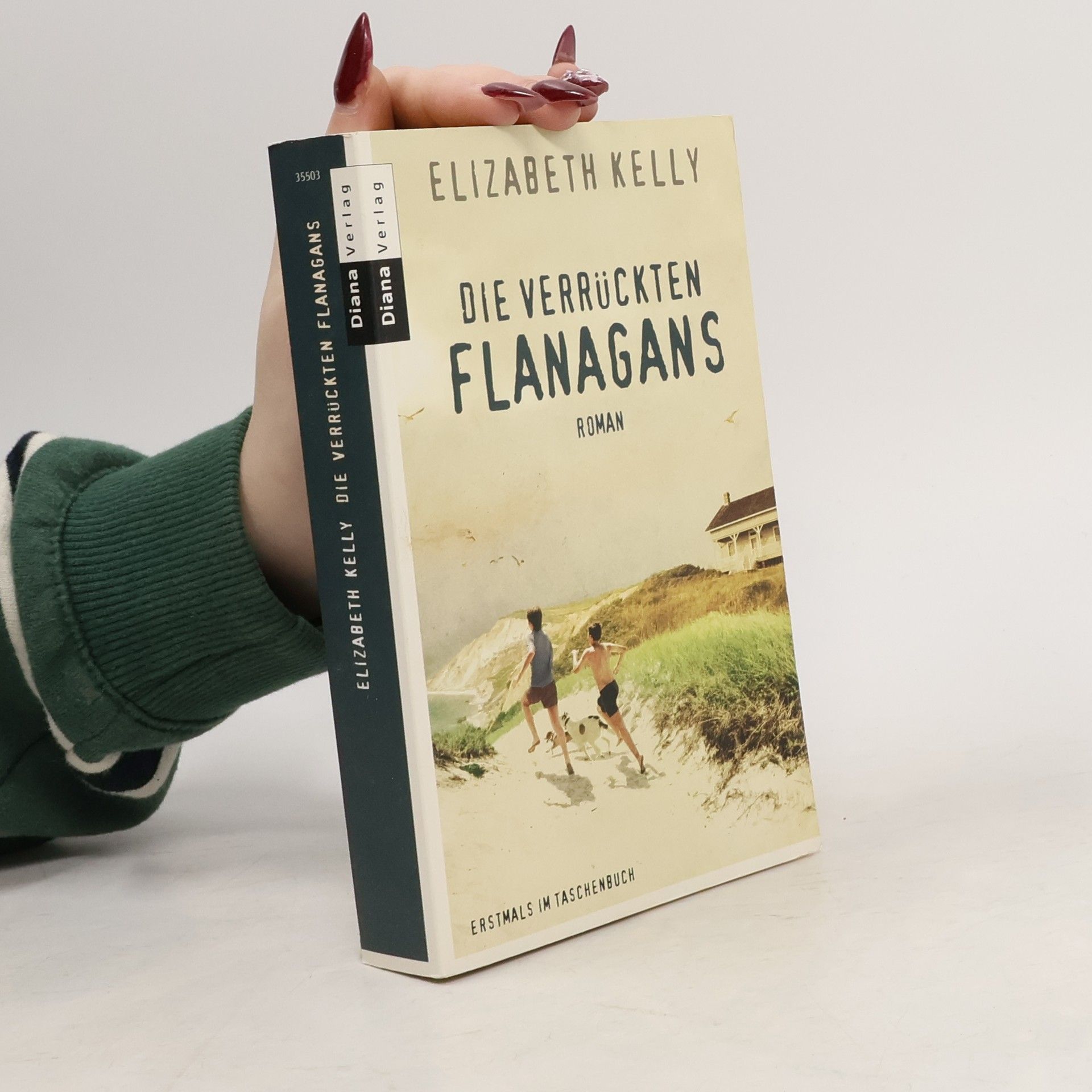 Die verrückten Flanagans