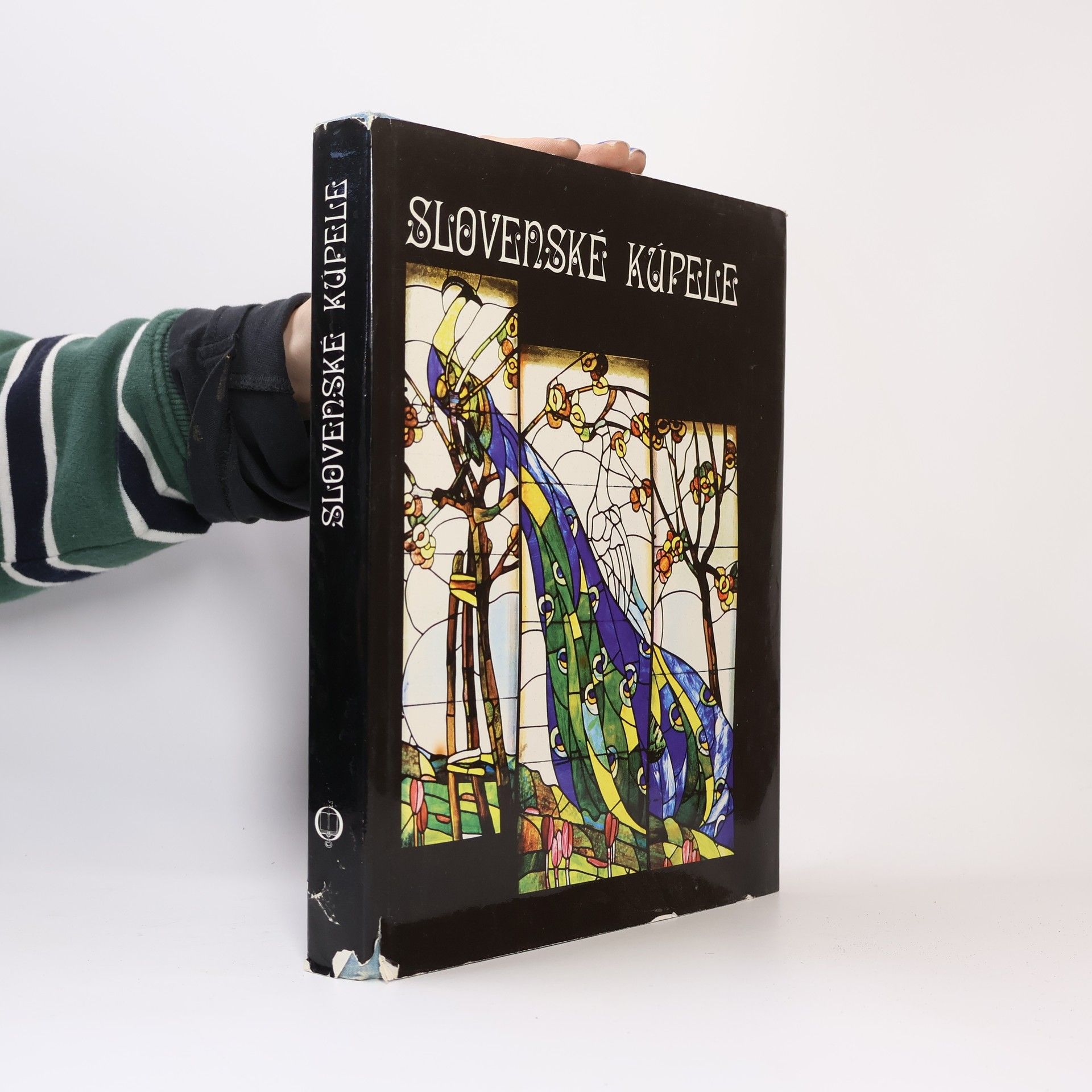 Ivan J. Kovačevič Slovenské kúpele