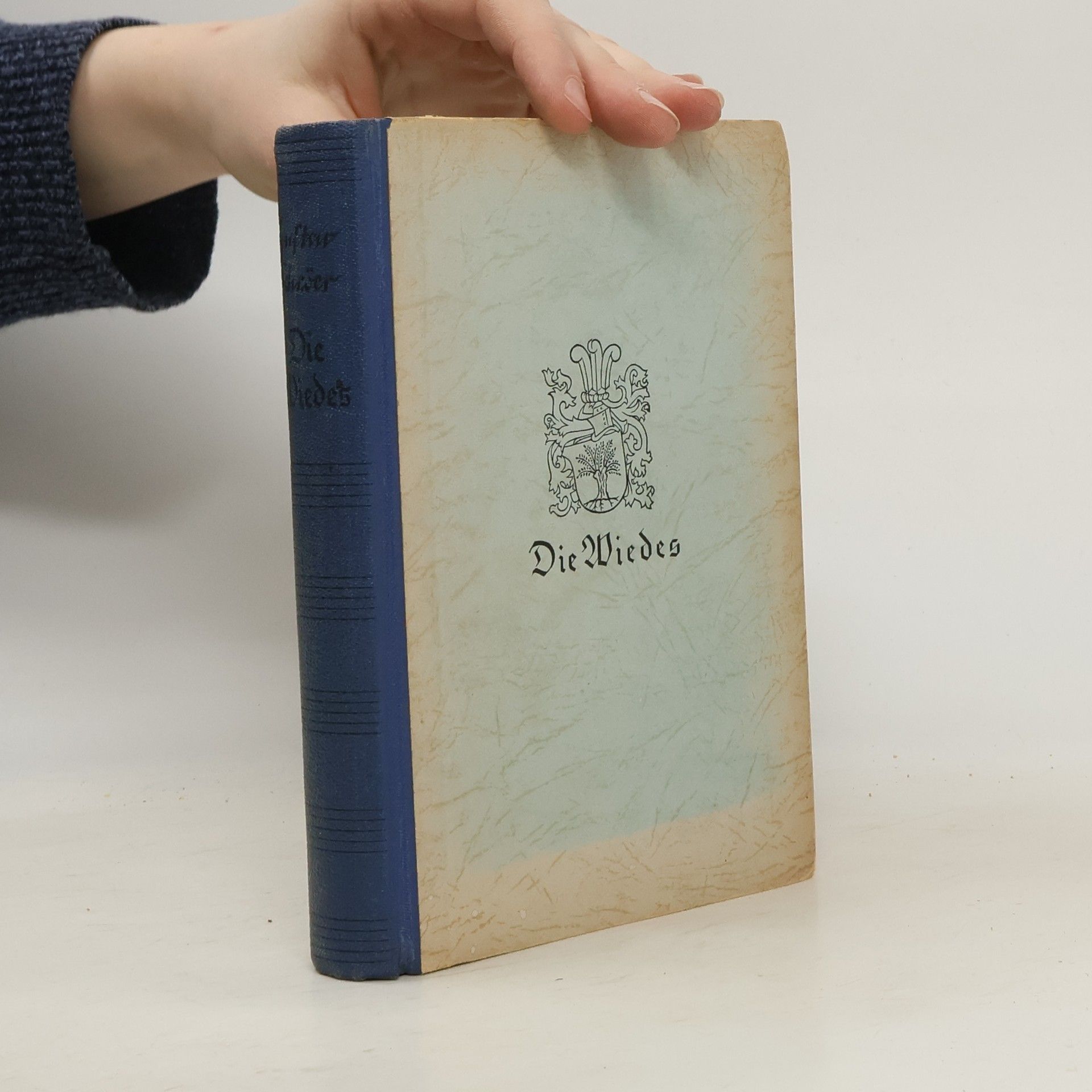 Die Wiedes
