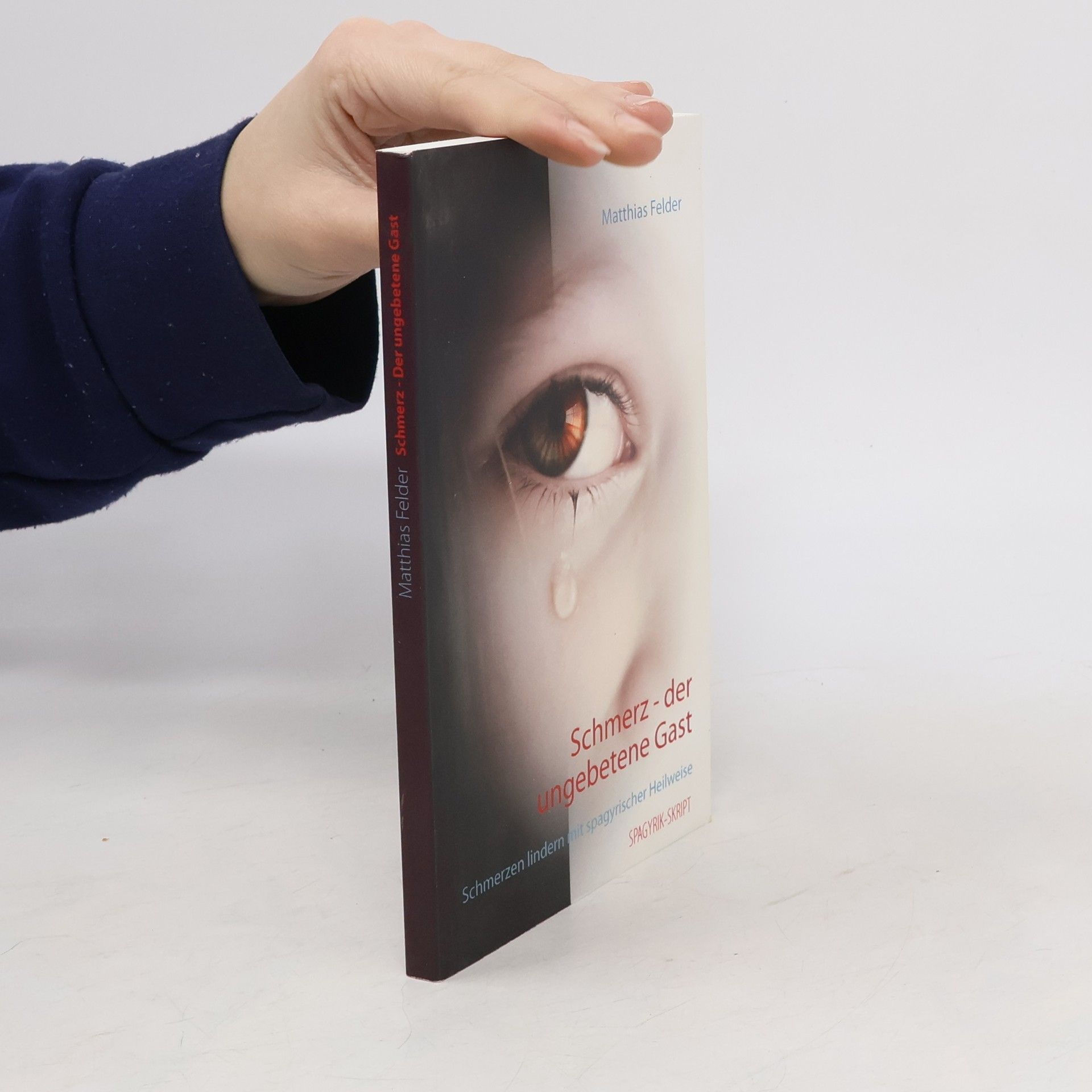 Matthias Felder Schmerz - der ungebetene Gast