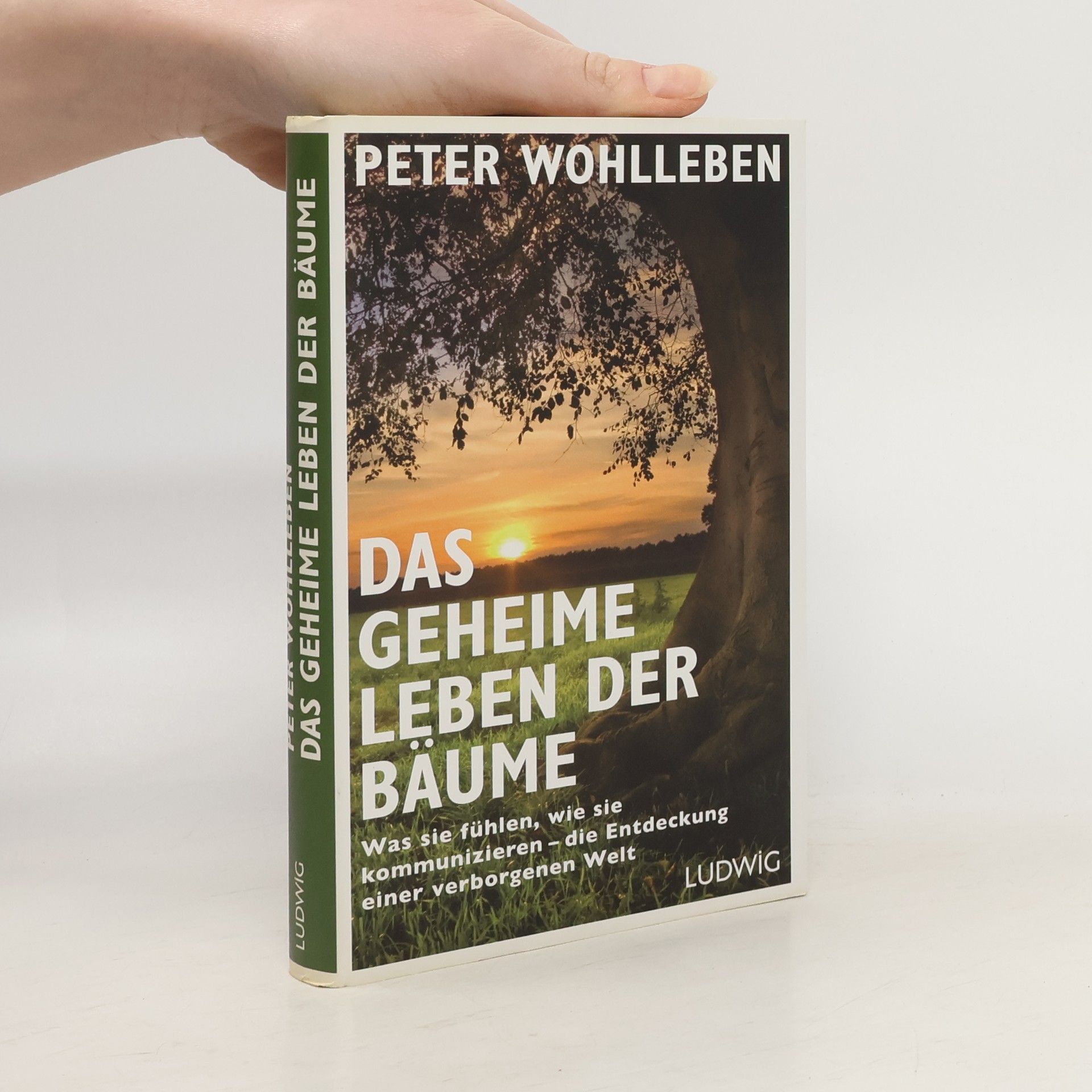 Peter Wohlleben Das geheime Leben der Bäume
