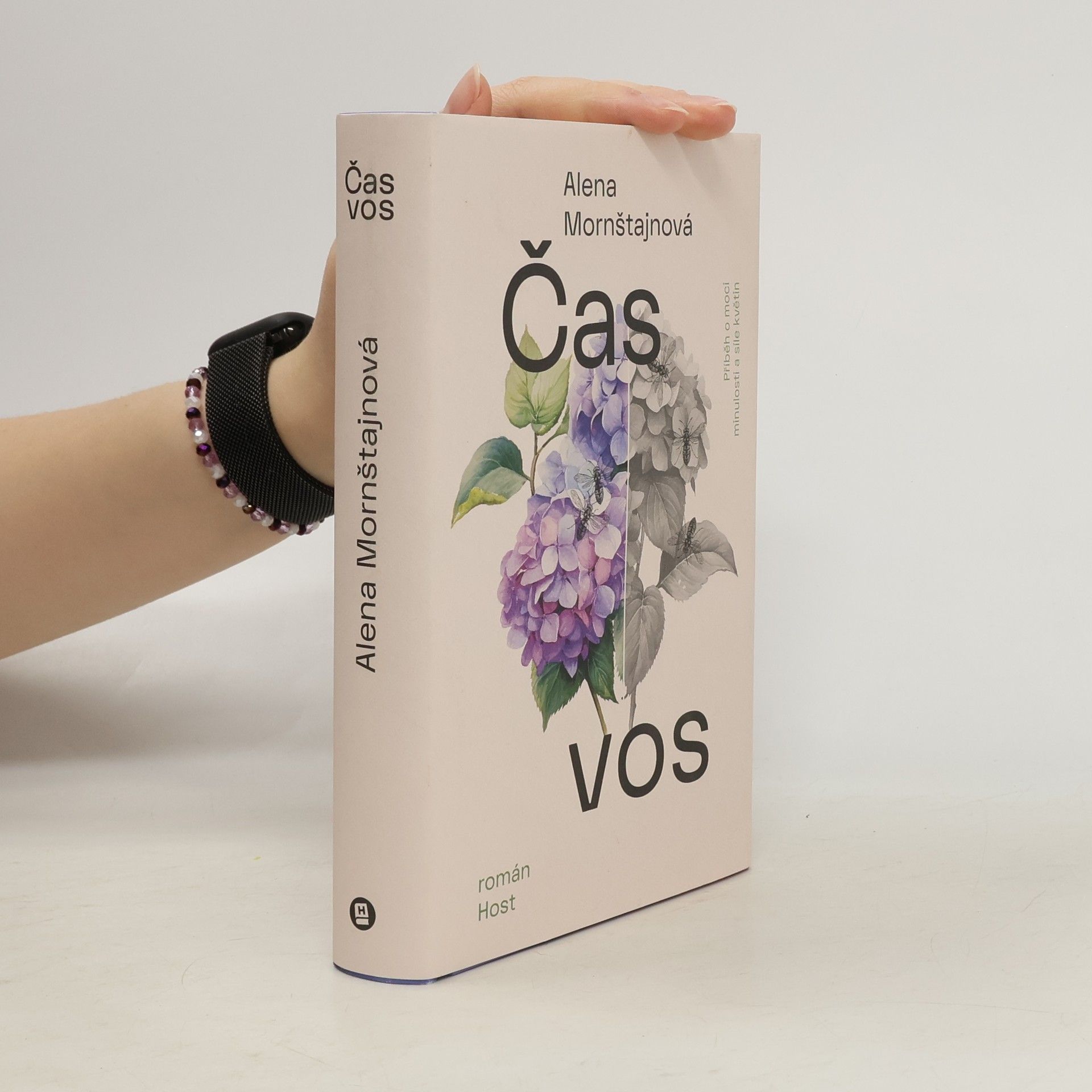 Alena Mornštajnová Čas vos