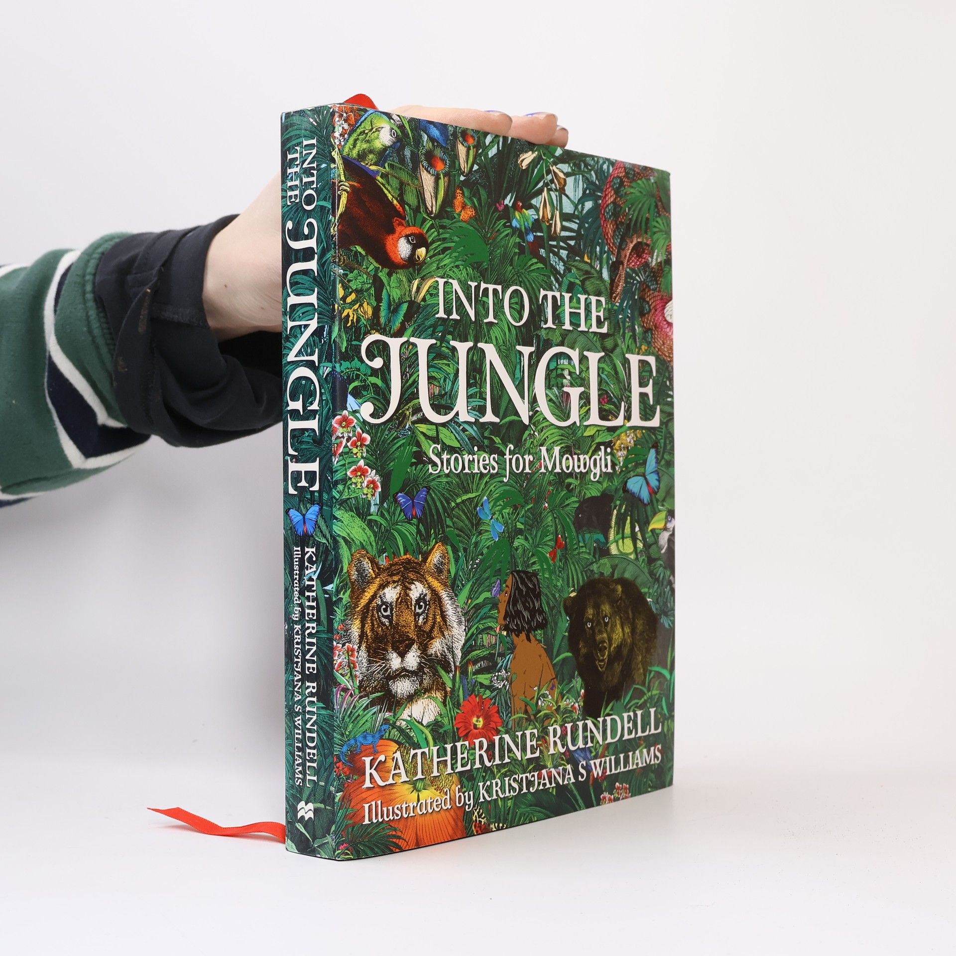 Katherine Rundell Into the Jungle