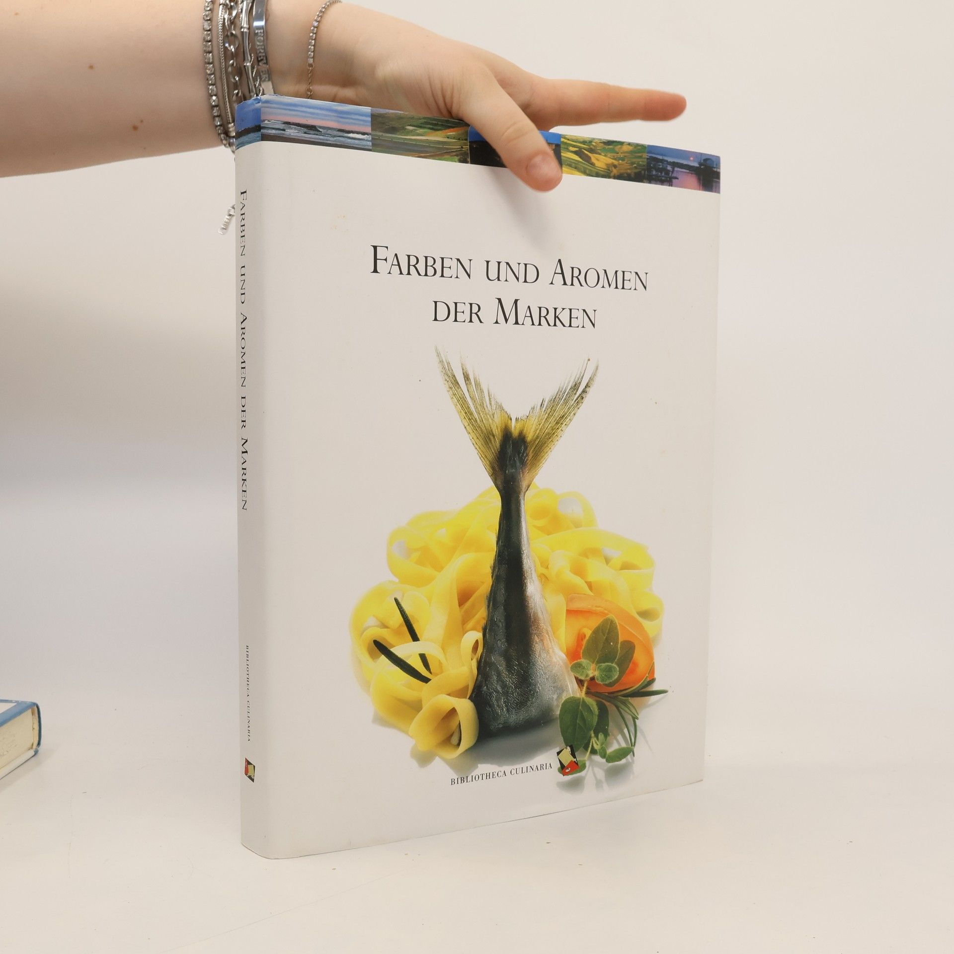 Collectif d'auteurs Farben und Aromen der Marken. Ediz. a colori